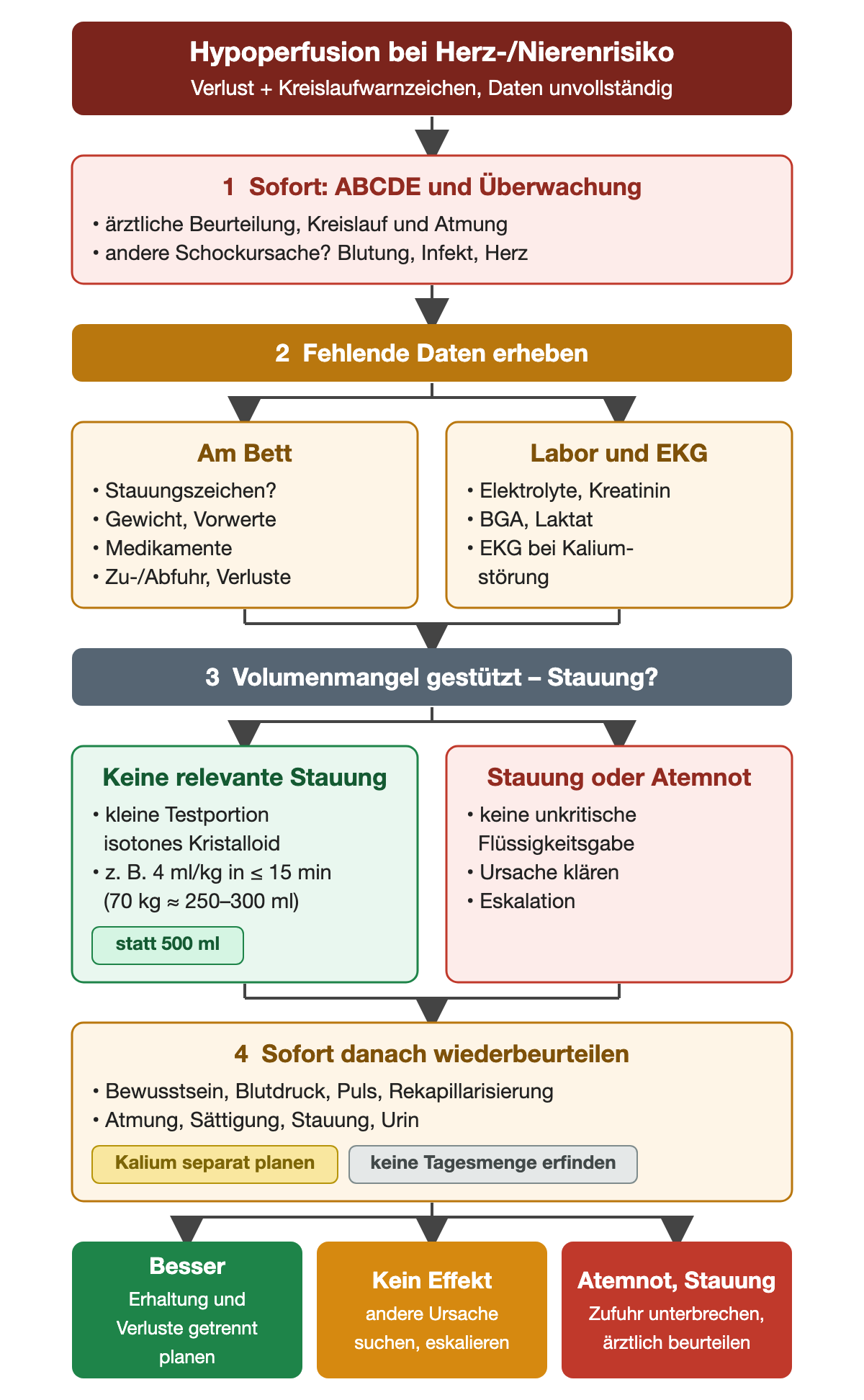 Vier nummerierte Schritte: sofortige ABCDE-Beurteilung, fehlende Daten am Bett sowie aus Labor und EKG, die Entscheidung nach Stauungszeichen mit kleiner Testportion von 4 ml/kg oder ohne unkritische Gabe, und die sofortige Wiederbeurteilung; die Ergebniszeile trennt Besserung, fehlenden Effekt und Atemnot oder Stauung.
