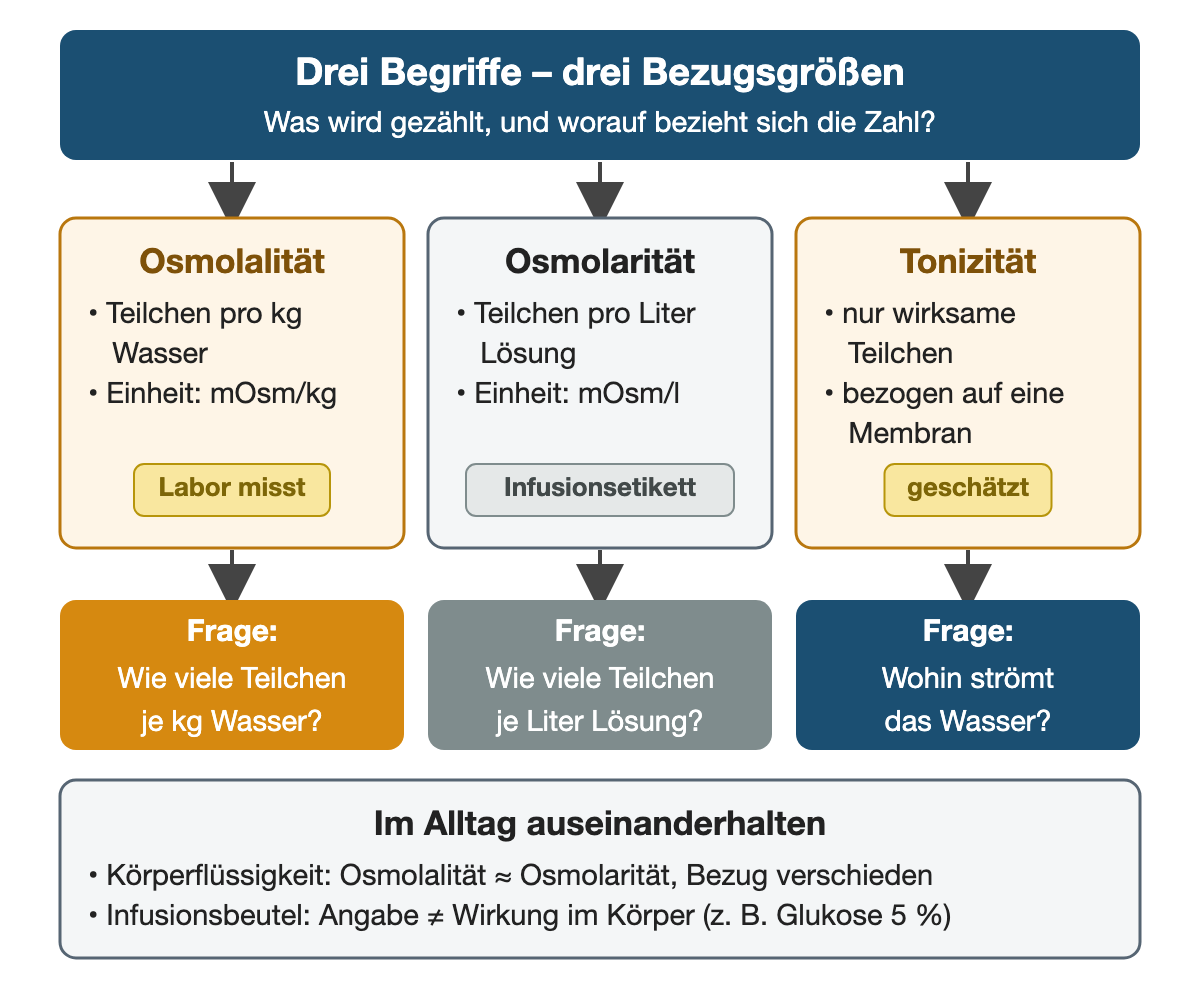 Drei Spalten vergleichen Osmolalität (Teilchen pro Kilogramm Wasser, mOsm/kg, im Labor gemessen), Osmolarität (Teilchen pro Liter Lösung, mOsm/l, Angabe auf dem Infusionsetikett) und Tonizität (nur wirksame Teilchen, bezogen auf eine Membran, geschätzt). Darunter steht jeweils die Frage, die der Begriff beantwortet; die Fußzeile erinnert daran, dass die Beutelangabe nicht der Wirkung im Körper entspricht.