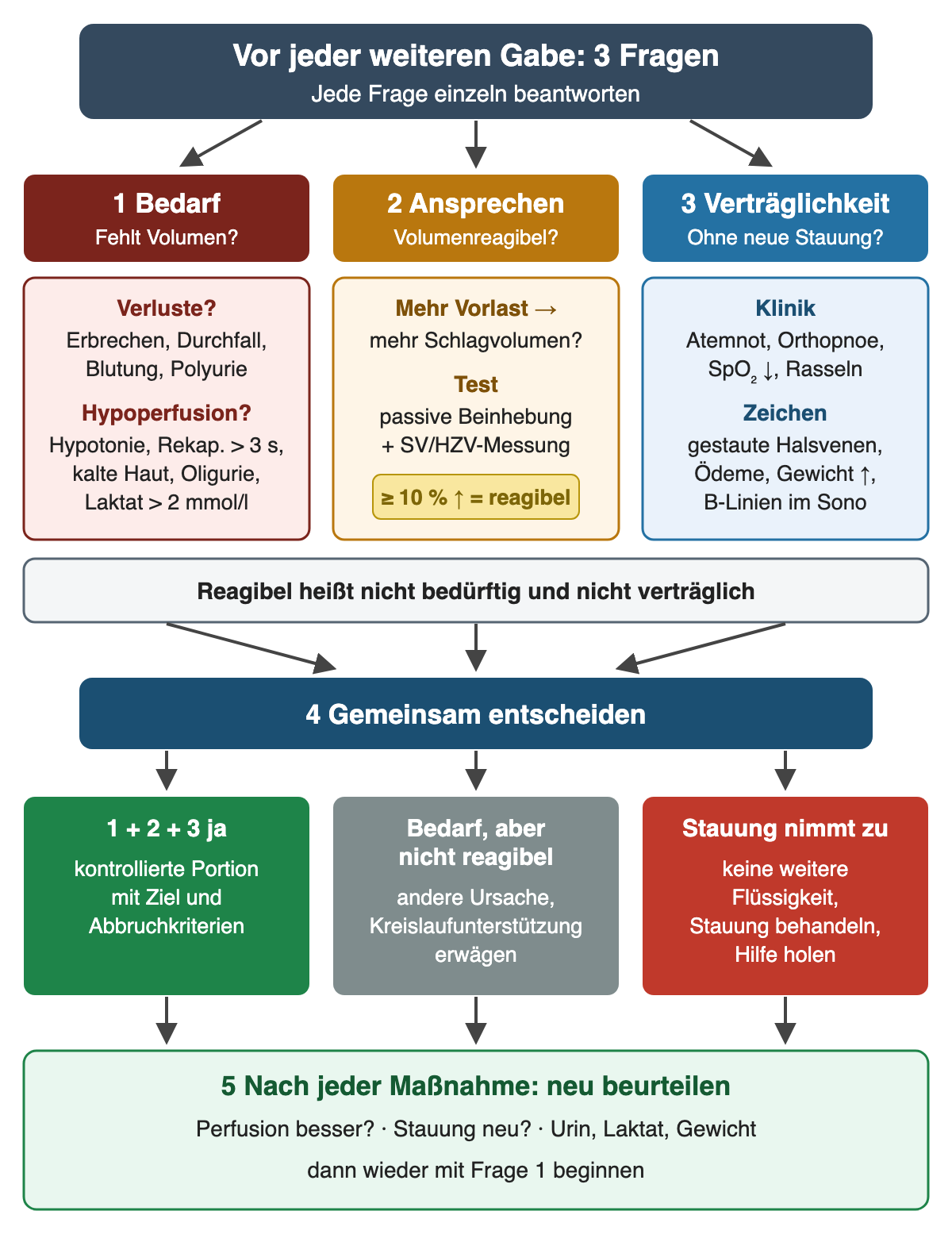 Drei Spalten: Bedarf mit Verlusten und Hypoperfusionszeichen, Ansprechen mit passiver Beinhebung und Schlagvolumenanstieg ab 10 Prozent, Verträglichkeit mit Stauungszeichen. Darunter gemeinsame Entscheidung mit drei Ergebnissen: kontrollierte Portion, andere Ursache bei fehlender Reagibilität, keine weitere Flüssigkeit bei zunehmender Stauung; danach erneute Beurteilung.