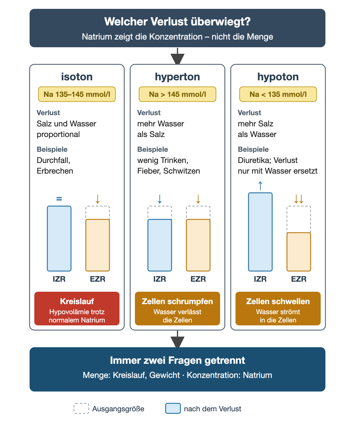 Drei Spalten vergleichen isotonen, hypertonen und hypotonen Flüssigkeitsverlust. Isoton: Natrium 135 bis 145 mmol/l, Salz und Wasser proportional verloren, Extrazellulärraum vermindert, Intrazellulärraum unverändert, Hauptproblem Kreislauf. Hyperton: Natrium über 145 mmol/l, mehr Wasser als Salz verloren, beide Räume vermindert, Zellen schrumpfen. Hypoton: Natrium unter 135 mmol/l, mehr Salz als Wasser verloren, Extrazellulärraum deutlich vermindert, Intrazellulärraum vergrößert, Zellen schwellen. Unten: Menge und Konzentration getrennt beurteilen.