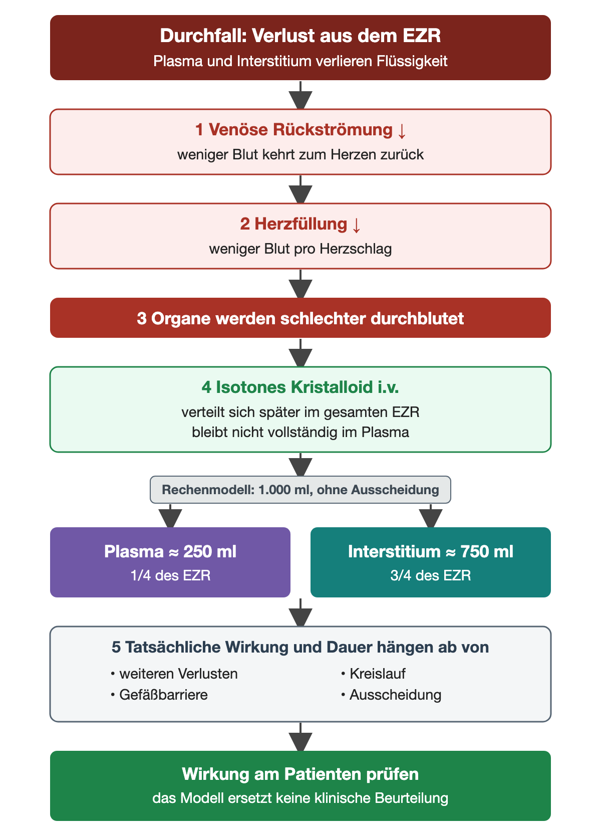 Ablauf: Durchfall verursacht einen Verlust aus dem EZR, die venöse Rückströmung und die Herzfüllung nehmen ab, die Organe werden schlechter durchblutet. Ein isotones Kristalloid verteilt sich im gesamten EZR; im Rechenmodell bleiben von 1.000 ml etwa 250 ml im Plasma und 750 ml gelangen ins Interstitium. Die tatsächliche Wirkung hängt von weiteren Verlusten, Gefäßbarriere, Kreislauf und Ausscheidung ab und wird am Patienten geprüft.