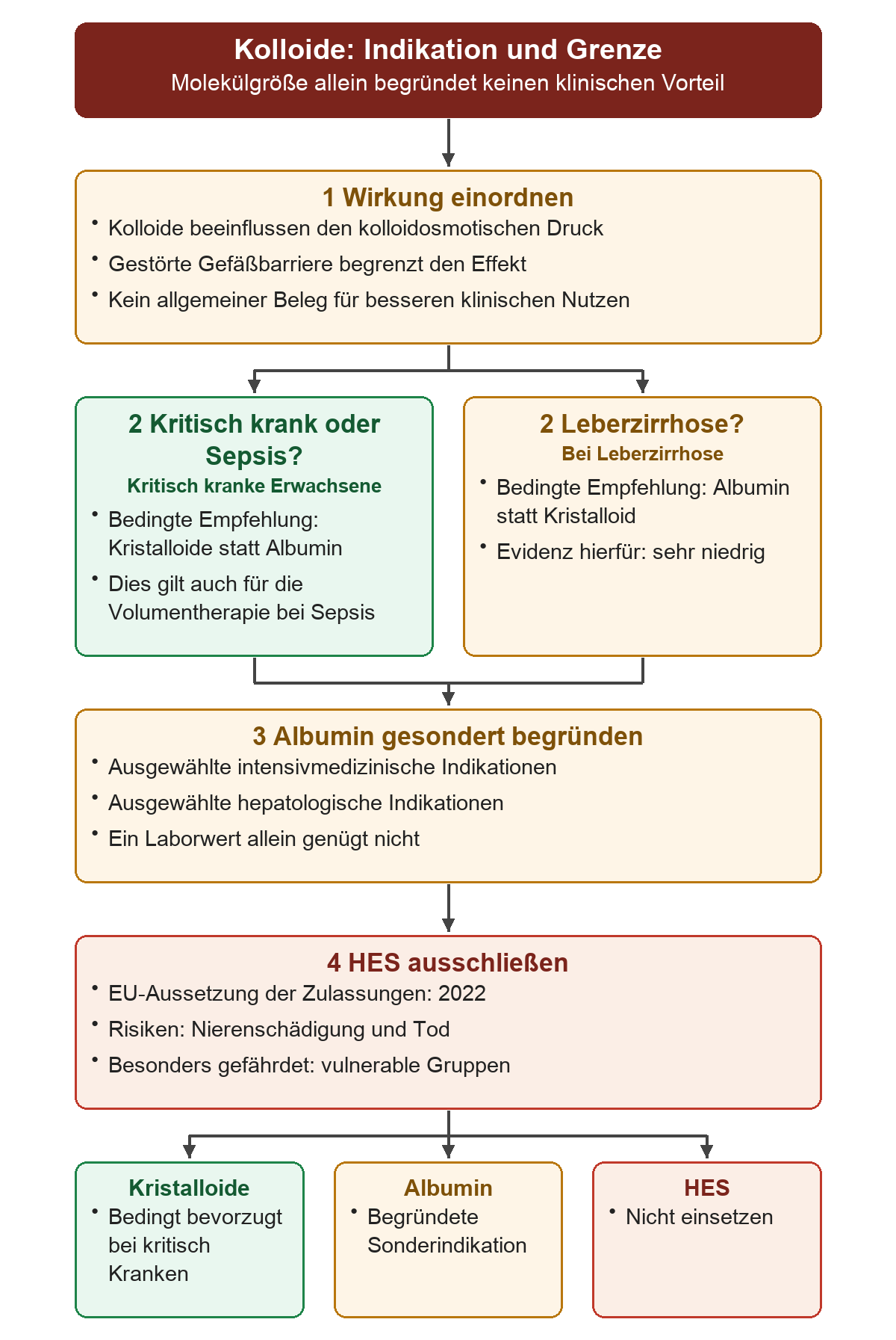 Von der begrenzten Aussage der Molekülgröße führt der Entscheidungsweg zu kritisch kranken Erwachsenen einschließlich Sepsis und zur besonderen Situation Leberzirrhose. Albumin benötigt eine begründete Sonderindikation; HES ist wegen der EU-Aussetzung und schwerwiegender Risiken ausgeschlossen.