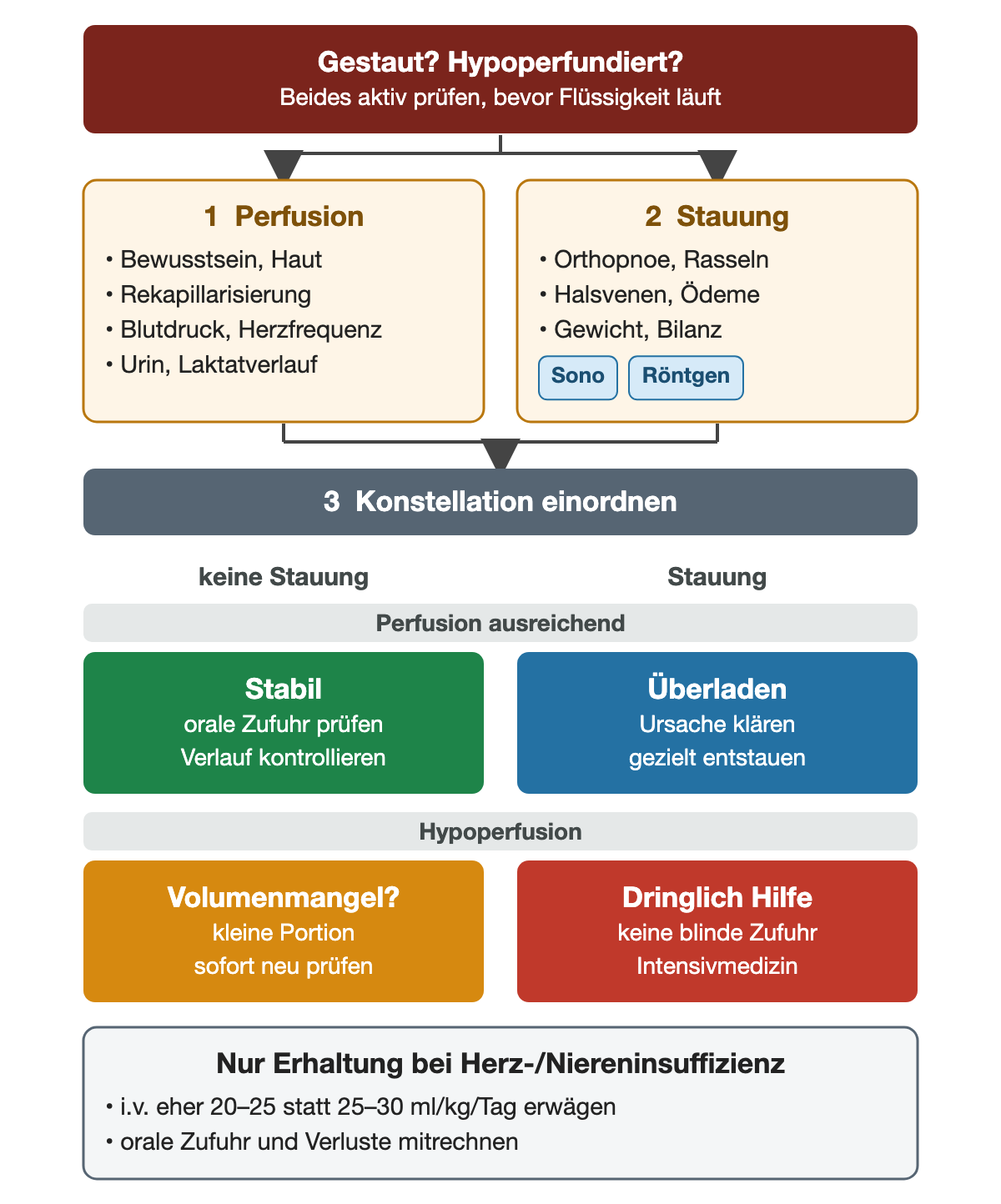 Oben zwei Prüfkästen: Perfusion mit Bewusstsein, Haut, Rekapillarisierung, Blutdruck, Herzfrequenz, Urin und Laktatverlauf; Stauung mit Orthopnoe, Rasselgeräuschen, Halsvenen, Ödemen, Gewicht, Bilanz, Sonographie und Röntgen. Darunter vier Felder: ausreichende Perfusion ohne Stauung stabil mit oraler Zufuhr, ausreichende Perfusion mit Stauung überladen mit gezielter Entstauung, Hypoperfusion ohne Stauung möglicher Volumenmangel mit kleiner Portion und sofortiger Kontrolle, Hypoperfusion mit Stauung dringliche Hilfe ohne blinde Zufuhr. Unten: reine Erhaltung bei Herz- oder Niereninsuffizienz eher 20–25 ml/kg/Tag.