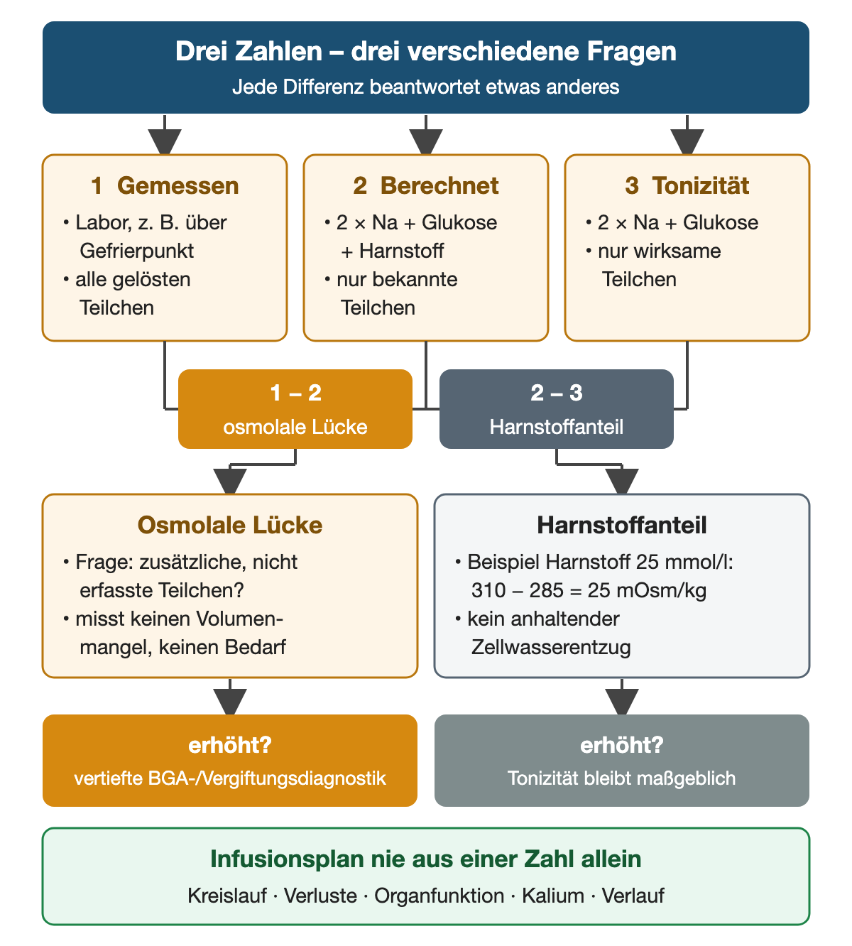Drei Zahlen nebeneinander: gemessene Osmolalität (alle gelösten Teilchen), berechnete Osmolalität (2 × Natrium + Glukose + Harnstoff) und geschätzte Tonizität (2 × Natrium + Glukose). Die Differenz gemessen minus berechnet ist die osmolale Lücke und führt bei Erhöhung zur vertieften BGA- und Vergiftungsdiagnostik; die Differenz berechnet minus Tonizität ist der Harnstoffanteil, im Beispiel 310 minus 285 gleich 25 mOsm/kg, ohne anhaltenden Zellwasserentzug. Unten: Der Infusionsplan folgt nie aus einer Zahl allein.