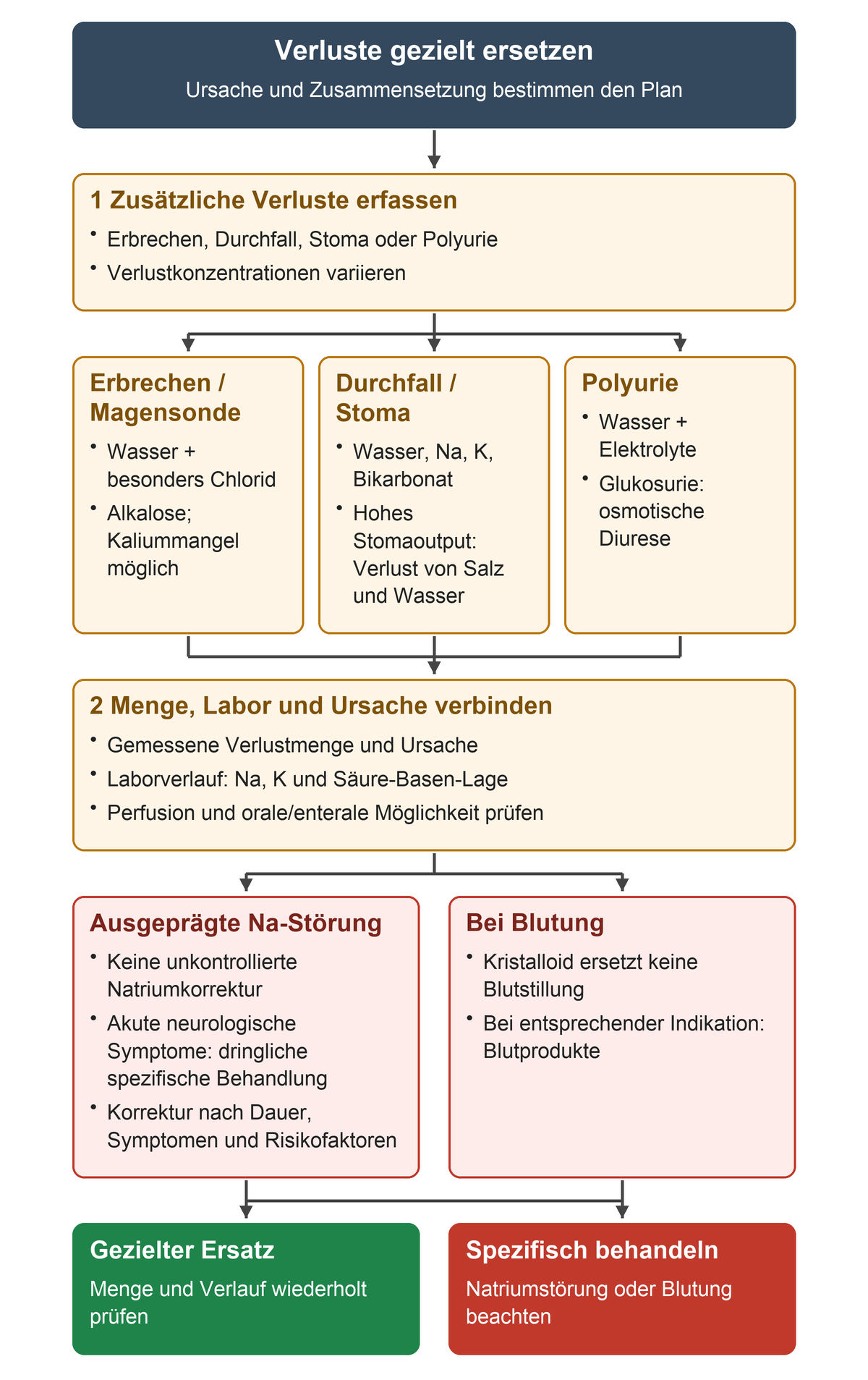 Die Verluste werden nach Erbrechen oder Magensonde, Durchfall oder Stoma und Polyurie getrennt. Menge, Labor und Ursache werden zusammengeführt; ausgeprägte Natriumstörungen und Blutungen verlangen spezifische Behandlung über den allgemeinen Volumenplan hinaus.