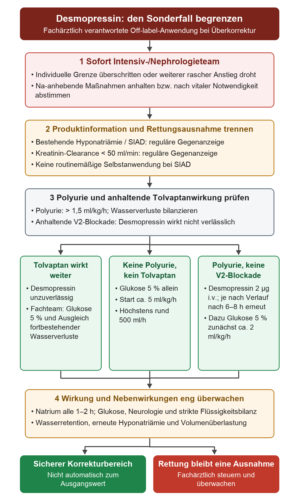 Zuerst werden das Intensiv- oder Nephrologieteam hinzugezogen und natriumanhebende Maßnahmen angehalten beziehungsweise nach vitaler Notwendigkeit abgestimmt. Die Rettungssituation wird von regulären Gegenanzeigen bei Hyponatriämie, SIAD und Kreatinin-Clearance unter 50 ml/min getrennt. Drei Wege folgen: anhaltende Tolvaptanwirkung mit fachärztlich gesteuertem Wasserersatz; keine Polyurie und kein Tolvaptan mit Glukose 5 % allein, zunächst etwa 5 ml/kg/h bis höchstens rund 500 ml/h; Polyurie ohne V2-Blockade mit Desmopressin und Glukose 5 %. Alle Wege münden in die enge Kontrolle von Natrium, Neurologie, Glukose und Bilanz.