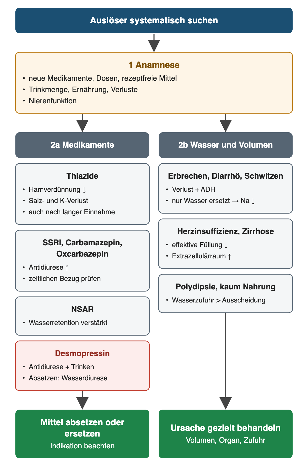 Nach der Anamnese werden parallel Medikamente geprüft (Thiazide, SSRI, Carbamazepin und Oxcarbazepin, NSAR, Desmopressin) sowie der Wasser- und Volumenhaushalt (Erbrechen, Diarrhö, Schwitzen, Herzinsuffizienz, Zirrhose, Polydipsie und geringe Nahrungszufuhr).