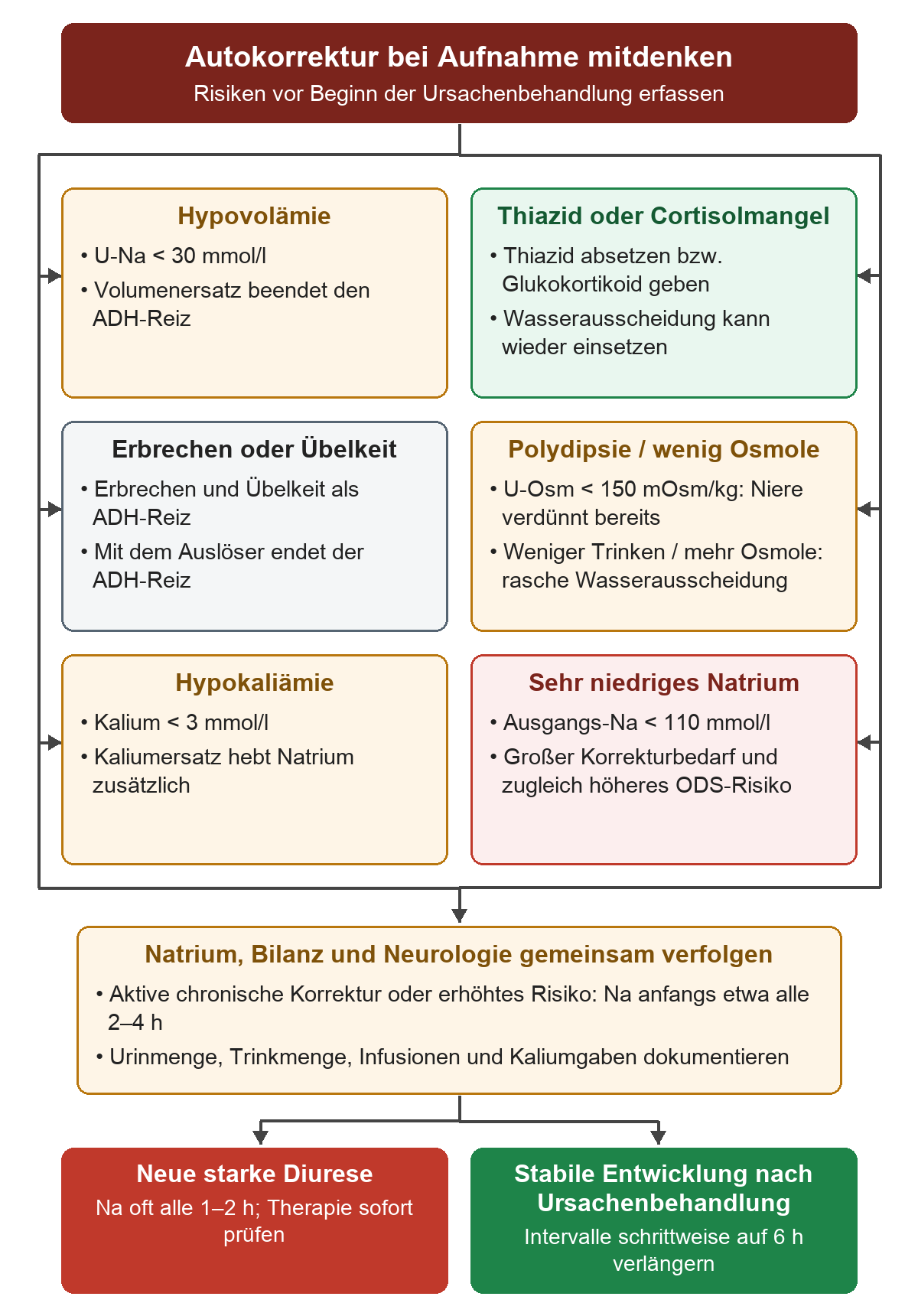 Sechs Aufnahmebefunde stehen parallel: Hypovolämie mit U-Natrium unter 30 mmol/l, Thiazid oder Cortisolmangel, Erbrechen oder Übelkeit, Polydipsie beziehungsweise geringe Osmolzufuhr mit U-Osm unter 150 mOsm/kg, Kalium unter 3 mmol/l und Ausgangsnatrium unter 110 mmol/l. Darunter folgen gemeinsame Verlaufskontrolle anfangs etwa alle zwei bis vier Stunden und die unterschiedlichen Reaktionen auf neue starke Diurese oder stabile Entwicklung nach Ursachenbehandlung.