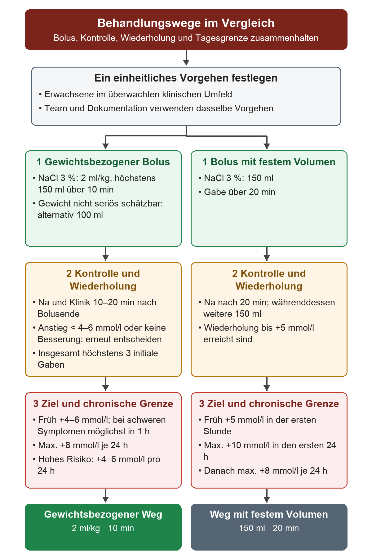 Nach Festlegung eines einheitlichen Vorgehens verlaufen zwei getrennte Wege: links gewichtsbezogener NaCl-3-%-Bolus mit 2 ml/kg über zehn Minuten, rechts 150 ml über zwanzig Minuten. Jeweils darunter folgen die zugehörige Kontrolle, Wiederholung, das frühe Ziel und die chronischen Korrekturgrenzen.