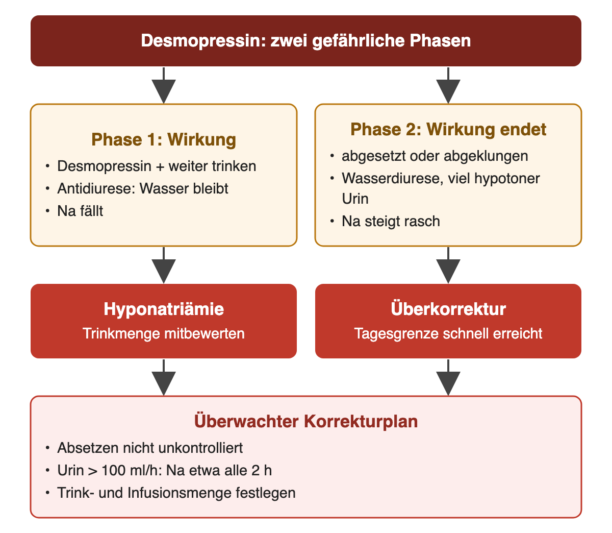 Desmopressin in zwei Phasen: während der Wirkung führt weiteres Trinken zu Antidiurese und Natriumabfall; endet die Wirkung, folgen Wasserdiurese und rascher Natriumanstieg mit Überkorrekturrisiko; beides erfordert einen überwachten Korrekturplan mit Natriumkontrolle etwa alle zwei Stunden bei Urin über 100 ml pro Stunde.