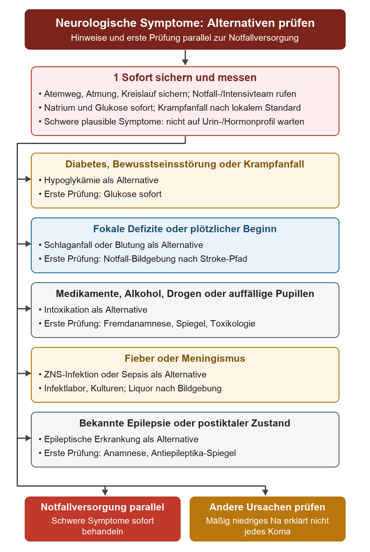 Nach Sicherung von Atemweg, Atmung und Kreislauf sowie sofortiger Natrium- und Glukosemessung führen fünf parallele Befundwege zur Prüfung von Hypoglykämie, Schlaganfall oder Blutung, Intoxikation, ZNS-Infektion oder Sepsis und epileptischer Erkrankung. Die Notfallversorgung läuft parallel zur gezielten Ursachensuche.