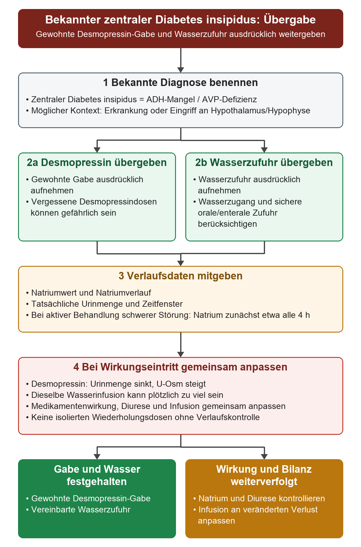 Bei bekanntem zentralem Diabetes insipidus werden Diagnose und Desmopressinbehandlung zusammen mit der Wasserzufuhr übergeben. Gewohnte Gabe und Wasserzugang werden getrennt geprüft, anschließend Natriumverlauf, tatsächliche Urinmenge und Zeitfenster dokumentiert. Bei Wirkungseintritt sinkt die Diurese; Infusion und wiederholte Desmopressingaben bleiben an die Verlaufskontrolle gebunden. Die Übergabe enthält deshalb sowohl Gabe und Wasser als auch Wirkung und Bilanz.