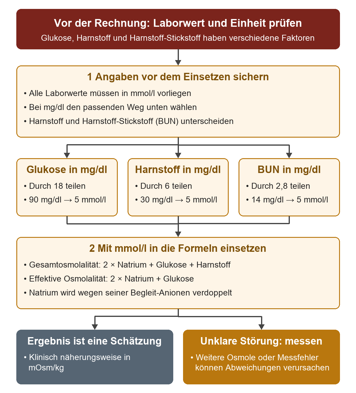 Zuerst Laborbezeichnung und Einheit prüfen. Bei mg/dl verzweigt die Umrechnung in Glukose durch 18, Harnstoff durch 6 und Harnstoff-Stickstoff durch 2,8; die Beispiele ergeben jeweils 5 mmol/l. Danach werden die Werte in Gesamt- und effektive Osmolalität eingesetzt. Die Ergebnisse sind Schätzungen und ersetzen bei unklarer Störung die gemessene Osmolalität nicht.