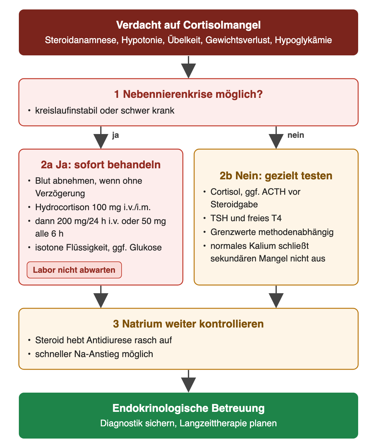 Bei Verdacht auf Cortisolmangel wird zuerst eine Nebennierenkrise erwogen: bei Krise sofort Hydrocortison 100 mg, danach 200 mg pro 24 Stunden oder 50 mg alle sechs Stunden mit isotoner Flüssigkeit; ohne Krise Cortisol, gegebenenfalls ACTH, TSH und freies T4; danach Natrium weiter kontrollieren.
