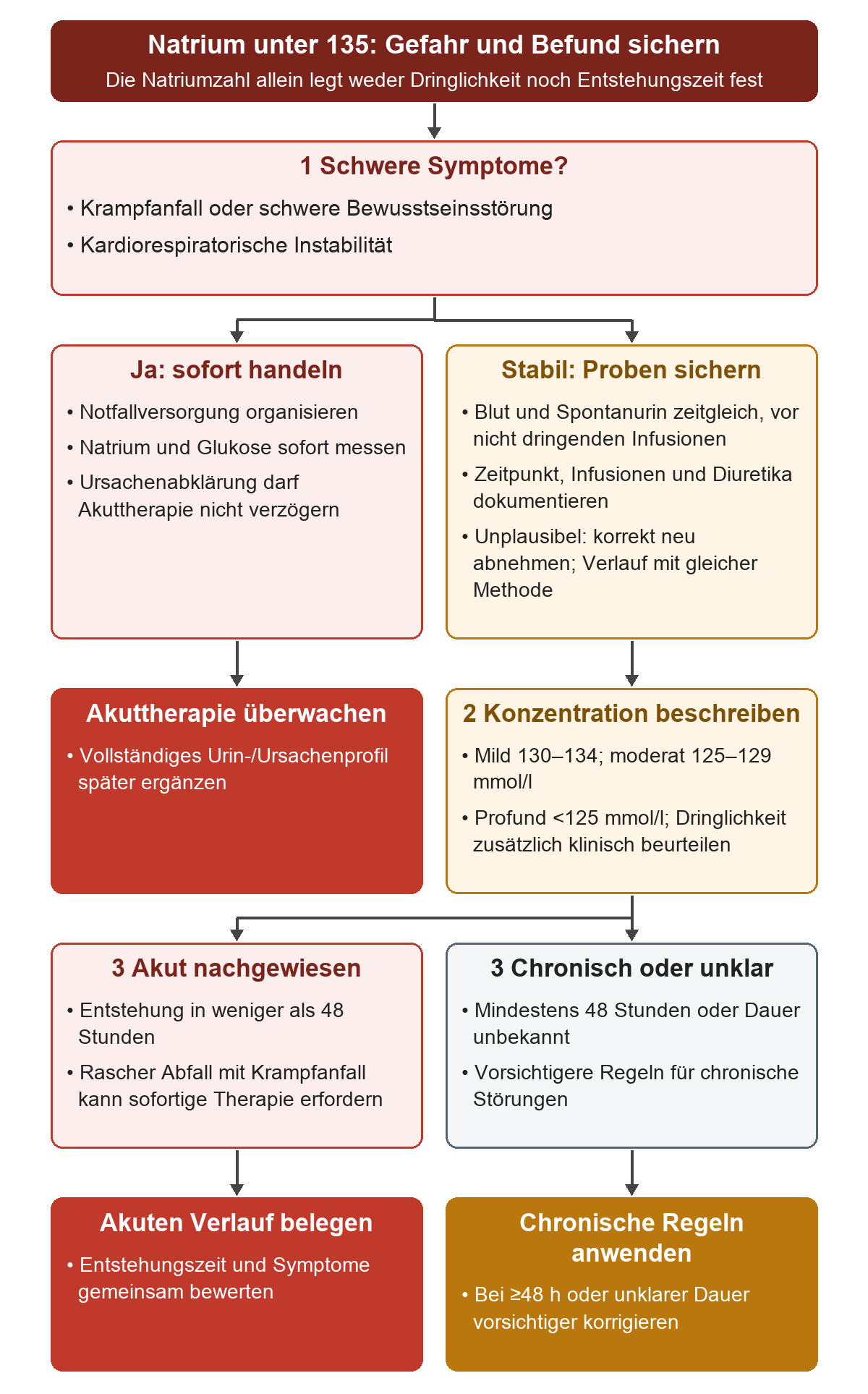 Zuerst schwere Symptome prüfen und nötigenfalls sofort versorgen; bei stabiler Person Proben sichern, Natrium einteilen und akute von chronischer oder unklarer Dauer unterscheiden.