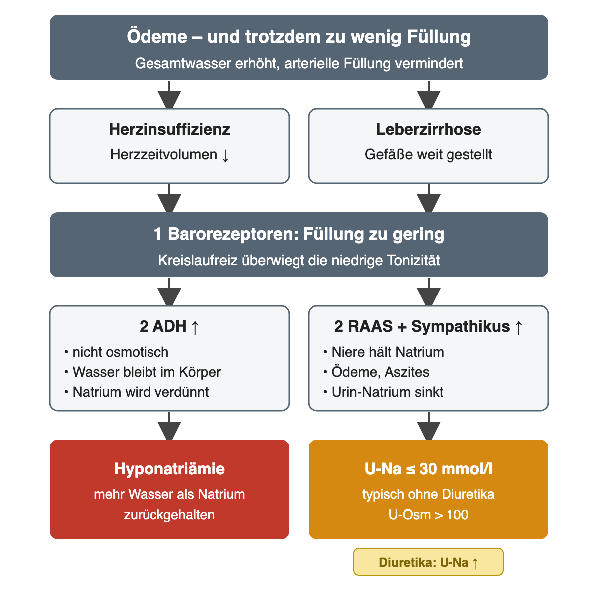 Herzinsuffizienz mit vermindertem Herzzeitvolumen oder Leberzirrhose mit weit gestellten Gefäßen führen dazu, dass Barorezeptoren eine zu geringe Füllung melden. Nicht osmotisches ADH hält Wasser zurück und verdünnt Natrium; RAAS und Sympathikus halten Natrium zurück, erzeugen Ödeme und senken das Urin-Natrium auf 30 mmol/l oder weniger, sofern keine Diuretika wirken.