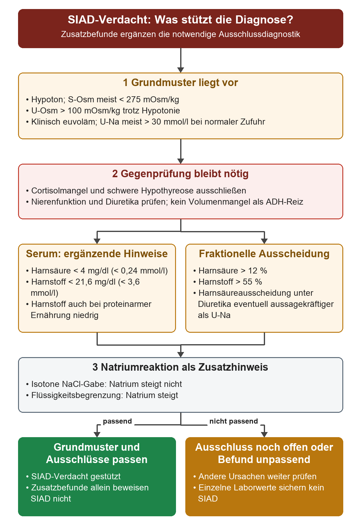 Von Hypotonie, ADH-Wirkung und Euvolämie führt der Weg über Ausschlussdiagnosen zu Serum-Harnsäure und Harnstoff sowie fraktionellen Ausscheidungen. Natriumreaktionen auf isotone Kochsalzlösung und Flüssigkeitsbegrenzung ergänzen die Befunde; passende Zusatzbefunde stützen SIAD, ersetzen aber keinen Ausschluss anderer Ursachen.