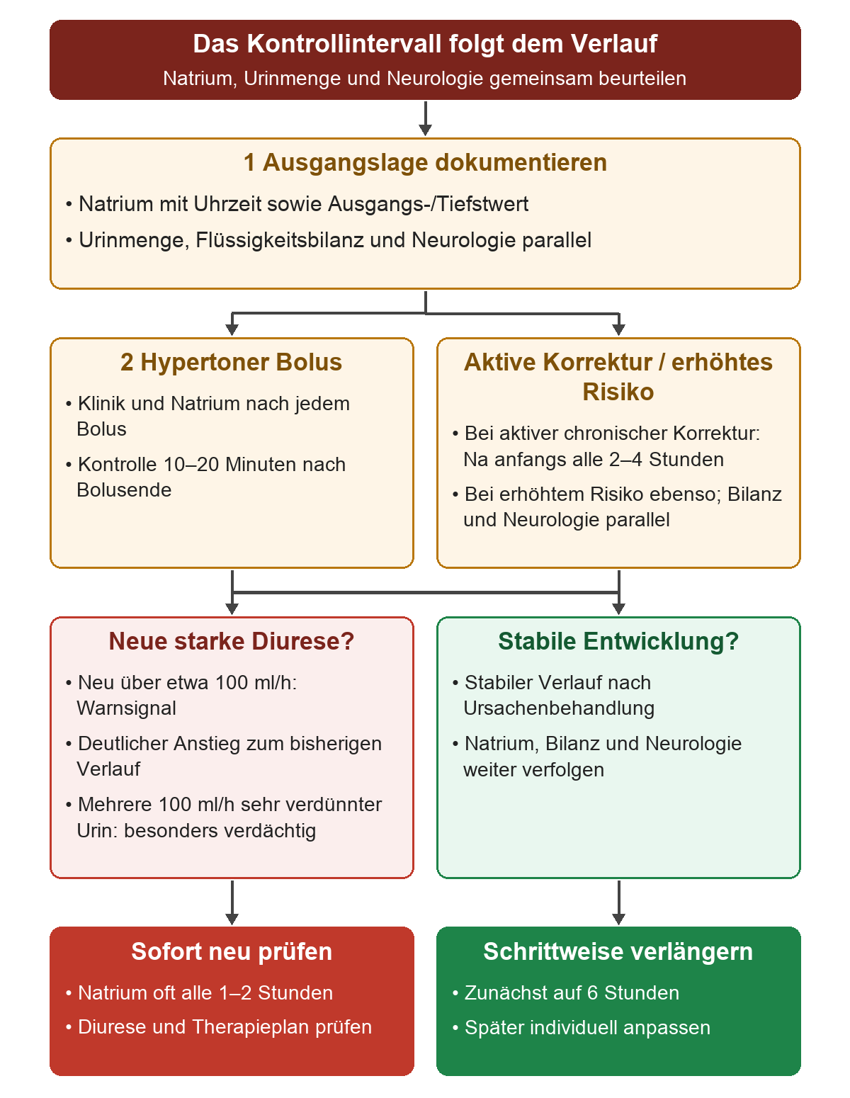 Ausgangs- und Tiefstwert mit Uhrzeit sowie Urinmenge und Neurologie bilden den Ausgangspunkt. Nach hypertonem Bolus wird nach zehn bis zwanzig Minuten kontrolliert, bei aktiver chronischer Korrektur anfangs alle zwei bis vier Stunden. Neue starke Diurese führt zu Kontrollen oft alle ein bis zwei Stunden; bei stabiler Entwicklung werden die Intervalle auf sechs Stunden und später individuell verlängert.