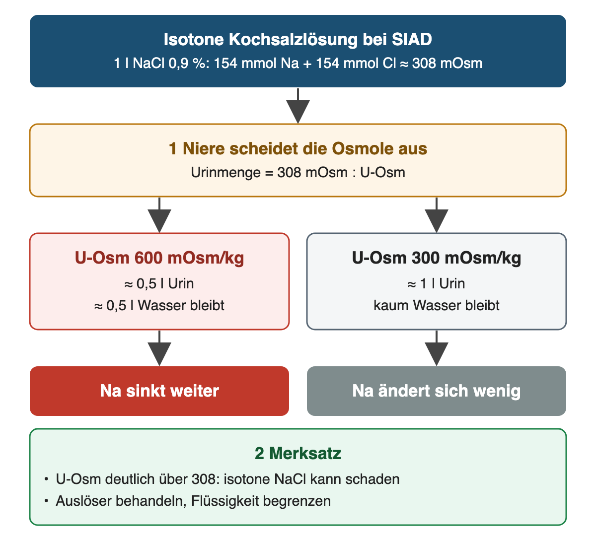 Isotone Kochsalzlösung bei SIAD: 1 l NaCl 0,9 % enthält etwa 308 mOsm; bei Urinosmolalität 600 werden sie in etwa 0,5 l Urin ausgeschieden und etwa 0,5 l Wasser bleibt, das Natrium sinkt; bei Urinosmolalität 300 entsteht etwa 1 l Urin und Natrium ändert sich wenig.
