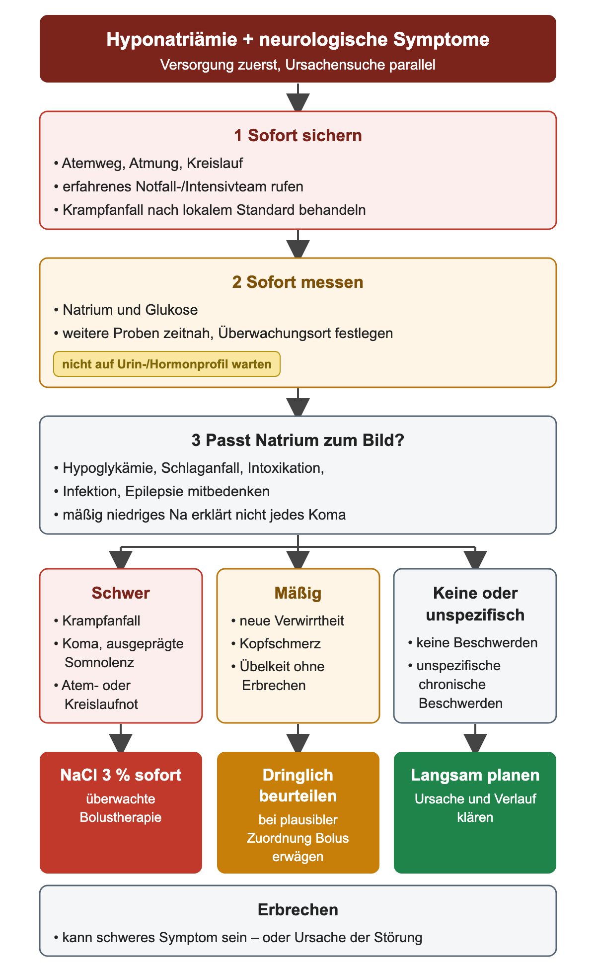 Bei Hyponatriämie mit neurologischen Symptomen werden zuerst Atemweg, Atmung und Kreislauf gesichert, ein erfahrenes Notfall- oder Intensivteam gerufen und ein Krampfanfall nach lokalem Standard behandelt. Natrium und Glukose werden sofort gemessen, ohne auf Urin- oder Hormonprofil zu warten. Dann wird geprüft, ob Natrium das Bild erklärt; Hypoglykämie, Schlaganfall, Intoxikation, Infektion und Epilepsie bleiben Alternativen. Schwere Symptome wie Krampfanfall, Koma oder Atem- oder Kreislaufnot führen zur sofortigen überwachten NaCl-3-%-Bolustherapie, mäßige Symptome wie neue Verwirrtheit, Kopfschmerz oder Übelkeit ohne Erbrechen zur dringlichen Beurteilung mit Bolus bei plausibler Zuordnung, fehlende oder unspezifische Beschwerden zur langsamen Planung mit Ursachenklärung. Erbrechen kann ein schweres Symptom oder die Ursache der Störung sein.