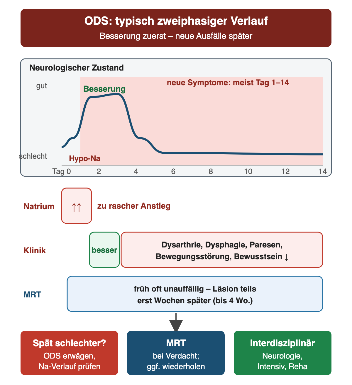 Schematischer Verlauf über 14 Tage: Nach zu raschem Natriumanstieg bessert sich der neurologische Zustand zunächst. Neue Symptome treten meist zwischen Tag 1 und 14 auf: Dysarthrie, Dysphagie, Paresen, Bewegungsstörungen und Bewusstseinsminderung. Die MRT ist früh oft unauffällig, Läsionen werden teils erst Wochen später sichtbar, bis zu vier Wochen. Folgerung: bei später Verschlechterung ODS erwägen und den Natriumverlauf prüfen, MRT bei Verdacht und gegebenenfalls wiederholen, interdisziplinär mit Neurologie, Intensivmedizin und Rehabilitation behandeln.
