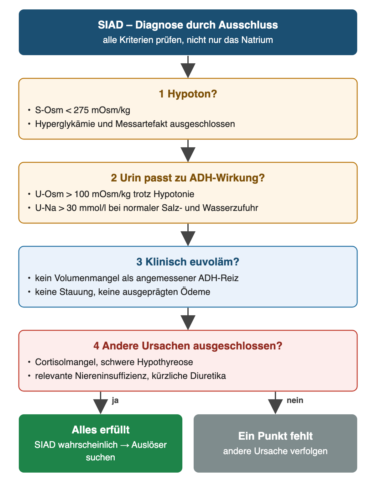 Diagnosepfad SIAD: hypotone Osmolalität unter 275, Urinosmolalität über 100 und Urin-Natrium über 30, klinische Euvolämie, Ausschluss von Cortisolmangel, schwerer Hypothyreose, Niereninsuffizienz und Diuretika; nur wenn alles erfüllt ist, ist SIAD wahrscheinlich.
