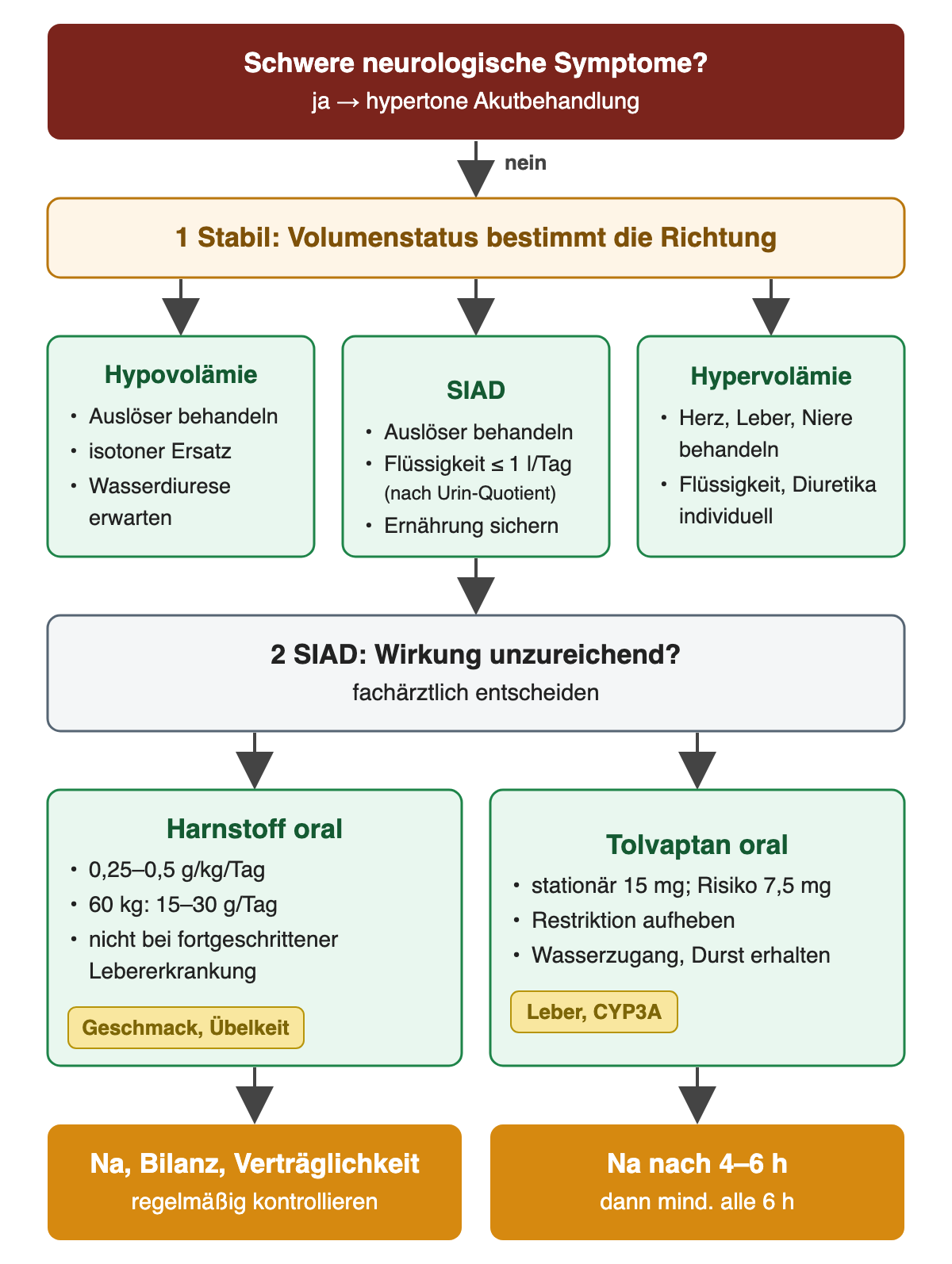 Therapiepfad: bei schweren neurologischen Symptomen hypertone Akutbehandlung; sonst nach Volumenstatus Hypovolämie mit isotonem Ersatz, SIAD mit Auslöserbehandlung und Flüssigkeitsbegrenzung auf höchstens etwa 1 l pro Tag je nach Urin-Quotient, Hypervolämie mit Behandlung der Organerkrankung; bei unzureichender SIAD-Wirkung fachärztlich Harnstoff 0,25–0,5 g/kg/Tag oder stationär Tolvaptan 15 mg beziehungsweise 7,5 mg mit Natriumkontrolle nach 4–6 Stunden.