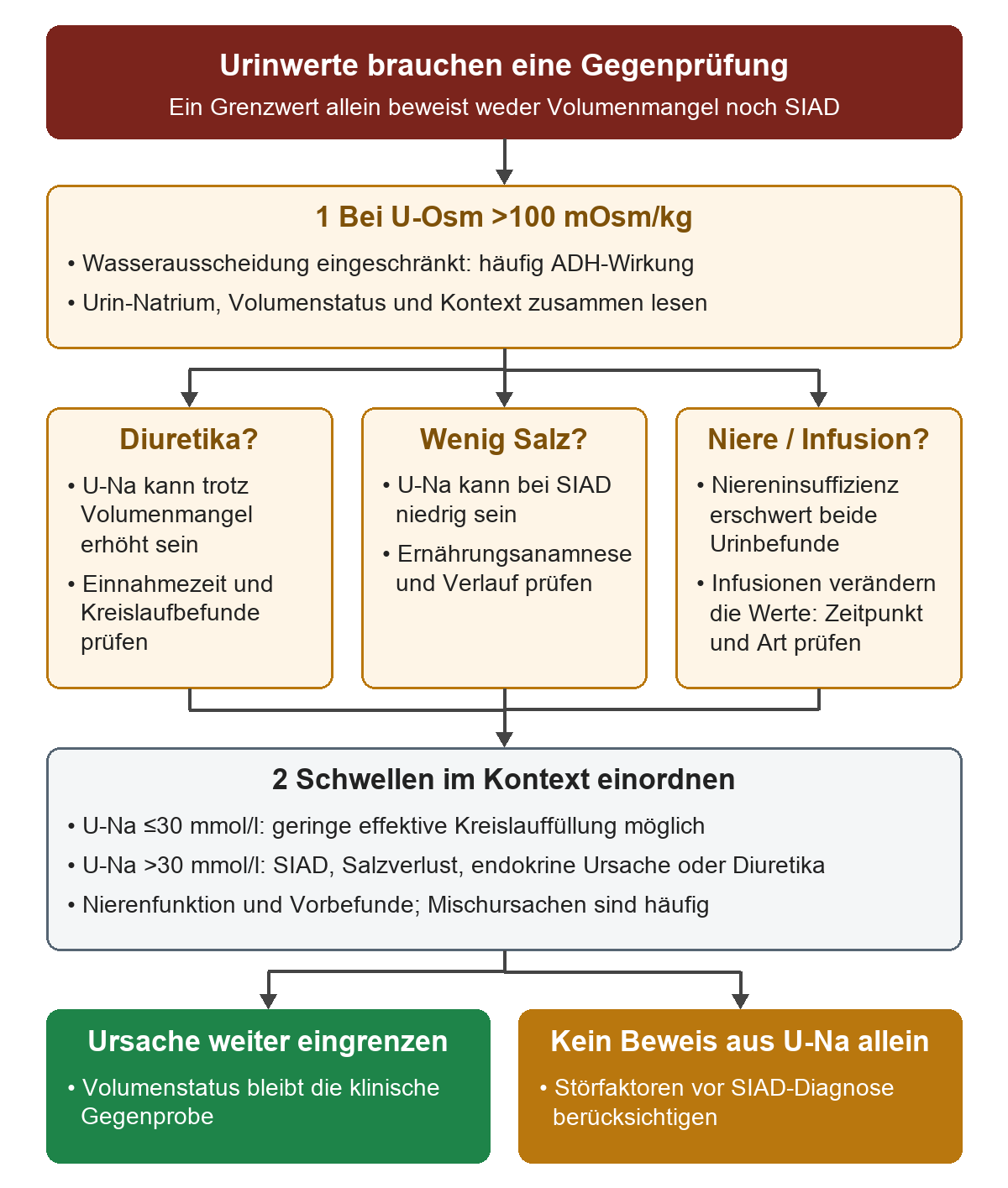 Bei U-Osm über 100 mOsm/kg werden vor der Deutung des Urin-Natriums drei Kontexte geprüft: Diuretika können den Wert trotz Volumenmangel erhöhen, geringe Salzzufuhr kann ihn bei SIAD senken, Niereninsuffizienz und vorausgegangene Infusionen erschweren beide Urinbefunde. Erst danach werden 30 mmol/l als Entscheidungshilfe mit Volumenstatus und möglichen Mischursachen zusammengeführt.