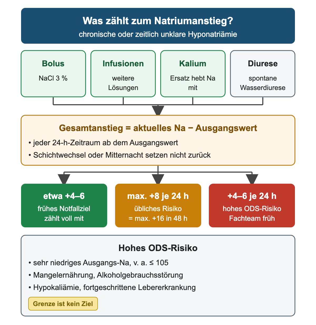 Zum Natriumanstieg bei chronischer oder zeitlich unklarer Hyponatriämie zählen NaCl-3-%-Bolus, weitere Infusionen, Kaliumersatz und spontane Wasserdiurese. Der Gesamtanstieg ist das aktuelle Natrium minus Ausgangswert; jeder 24-Stunden-Zeitraum beginnt am Ausgangswert, Schichtwechsel oder Mitternacht setzen nicht zurück. Das frühe Notfallziel von etwa 4 bis 6 mmol/l zählt voll mit; bei üblichem Risiko gilt höchstens plus 8 je 24 Stunden, also höchstens plus 16 in 48 Stunden; bei hohem ODS-Risiko eine Grenze von plus 4 bis 6 je 24 Stunden mit frühem Fachteam. Hohes Risiko besteht bei sehr niedrigem Ausgangsnatrium, vor allem 105 oder weniger, Mangelernährung, Alkoholgebrauchsstörung, Hypokaliämie und fortgeschrittener Lebererkrankung. Die Grenze ist kein Ziel.