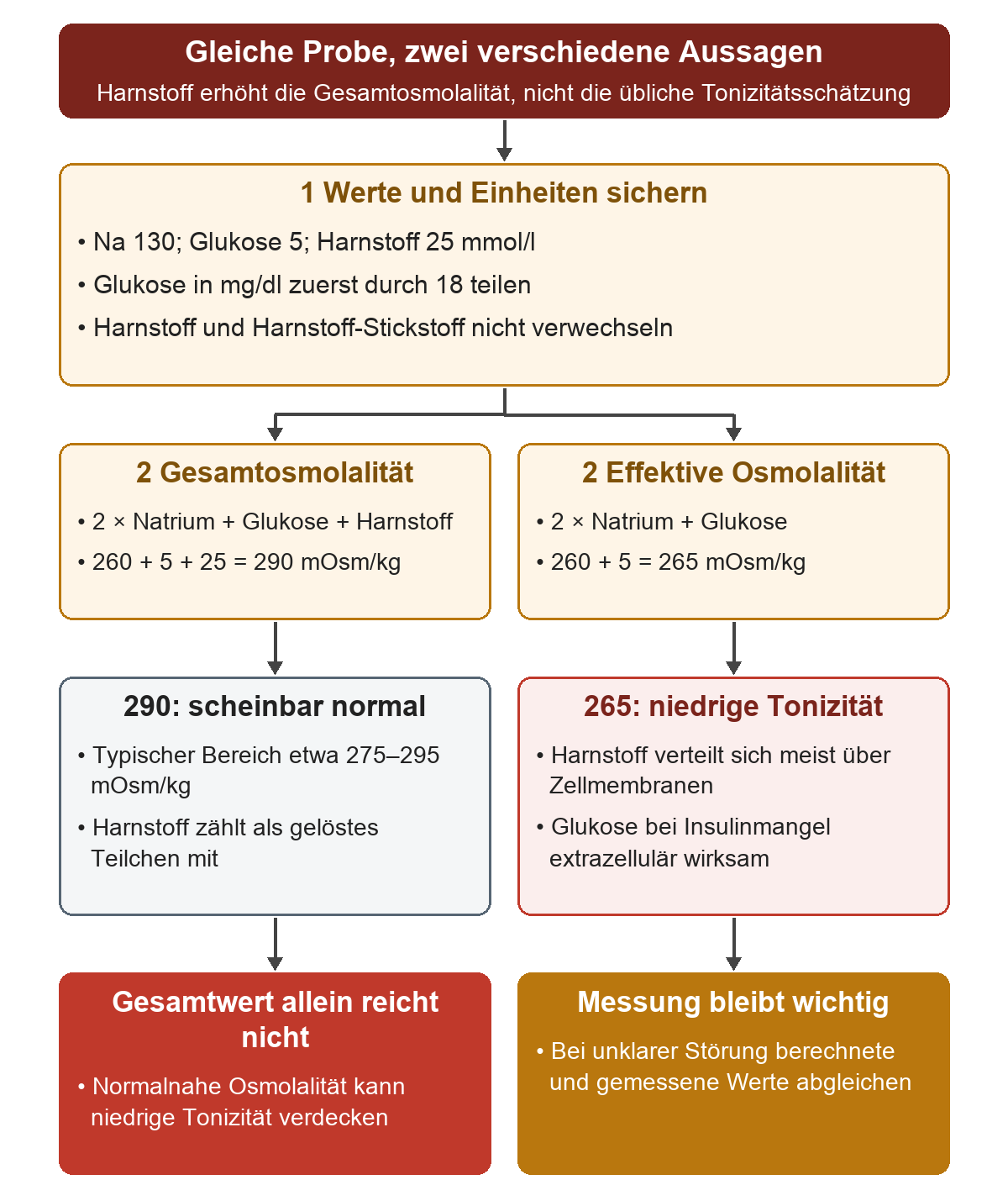 Aus Natrium 130, Glukose 5 und Harnstoff 25 werden parallel 290 mOsm/kg Gesamtosmolalität und 265 mOsm/kg effektive Osmolalität berechnet; der Unterschied liegt am Harnstoff.