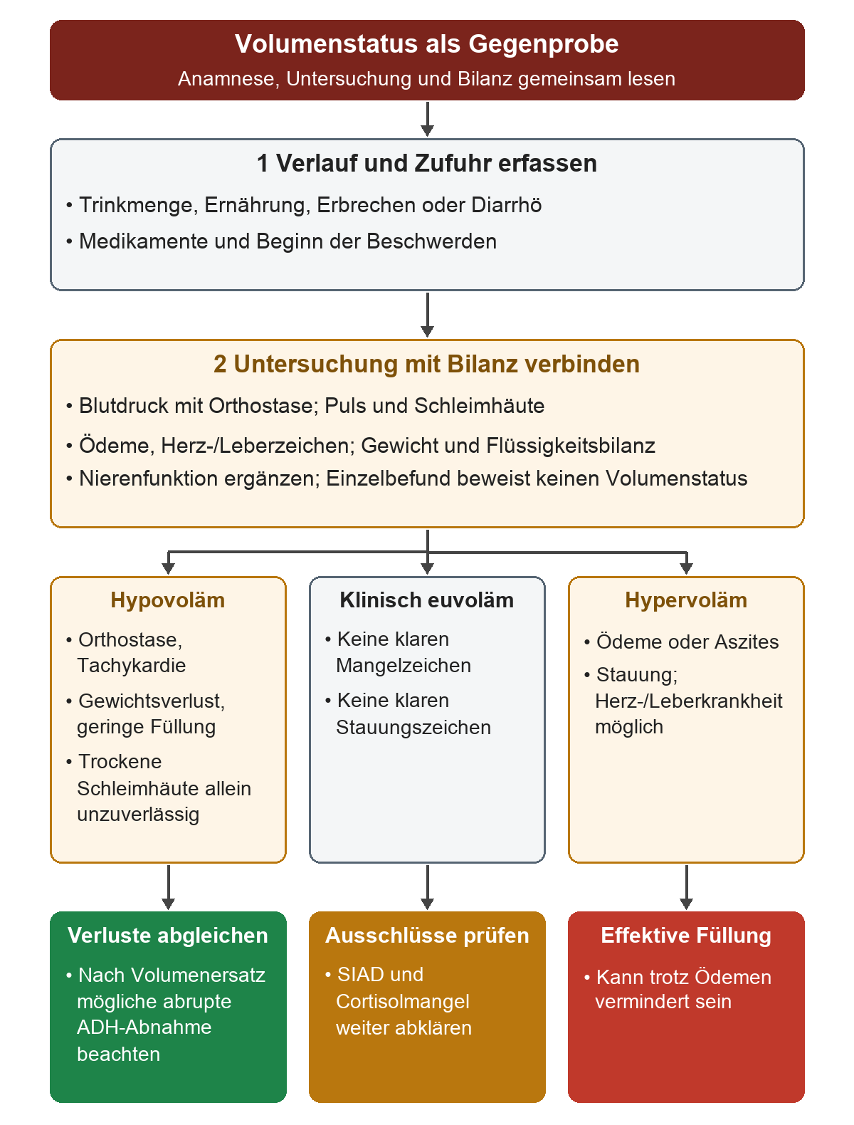 Aus Trinkmenge, Verlusten und Untersuchung ergeben sich hypovolämische, euvolämische oder hypervolämische Muster; diese lenken die Ursachenprüfung, beweisen aber allein keine Diagnose.