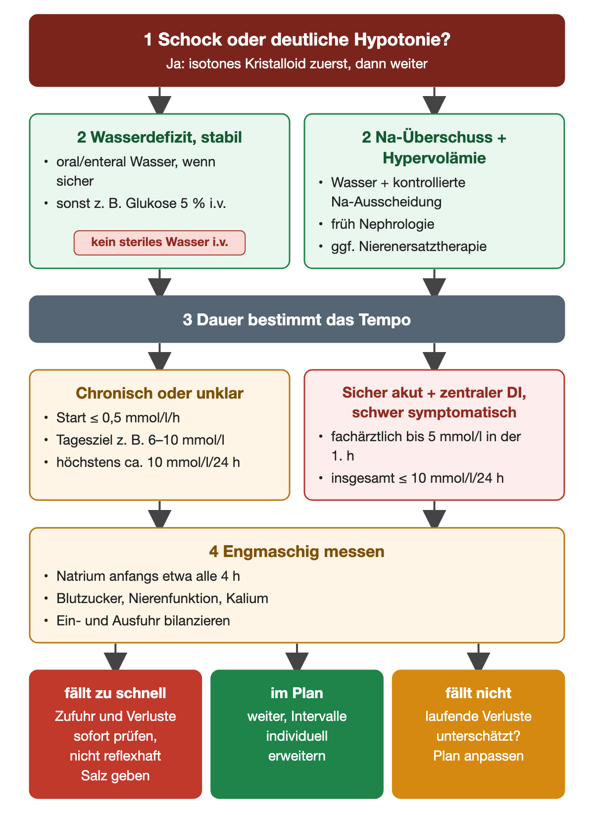 Erster Schritt: Bei Schock oder deutlicher Hypotonie zuerst isotones Kristalloid. Zweiter Schritt: Bei stabilem Wasserdefizit Wasser oral oder enteral, wenn sicher möglich, sonst zum Beispiel Glukose 5 Prozent intravenös, kein steriles Wasser intravenös; bei Natriumüberschuss mit Hypervolämie Wasser und kontrollierte Natriumausscheidung, früh Nephrologie, gegebenenfalls Nierenersatztherapie. Dritter Schritt: Die Dauer bestimmt das Tempo; chronisch oder unklar Start höchstens 0,5 mmol pro Liter und Stunde, Tagesziel zum Beispiel 6 bis 10 mmol pro Liter, höchstens etwa 10 mmol pro Liter in 24 Stunden; sicher akuter zentraler Diabetes insipidus mit schweren Symptomen fachärztlich bis 5 mmol pro Liter in der ersten Stunde, insgesamt höchstens 10 in 24 Stunden. Vierter Schritt: Natrium anfangs etwa alle 4 Stunden, Blutzucker, Nierenfunktion und Kalium messen, Ein- und Ausfuhr bilanzieren. Fällt Natrium zu schnell, Zufuhr und Verluste sofort prüfen und nicht reflexhaft Salz geben; im Plan weiter und Intervalle individuell erweitern; fällt es nicht, laufende Verluste suchen und den Plan anpassen.