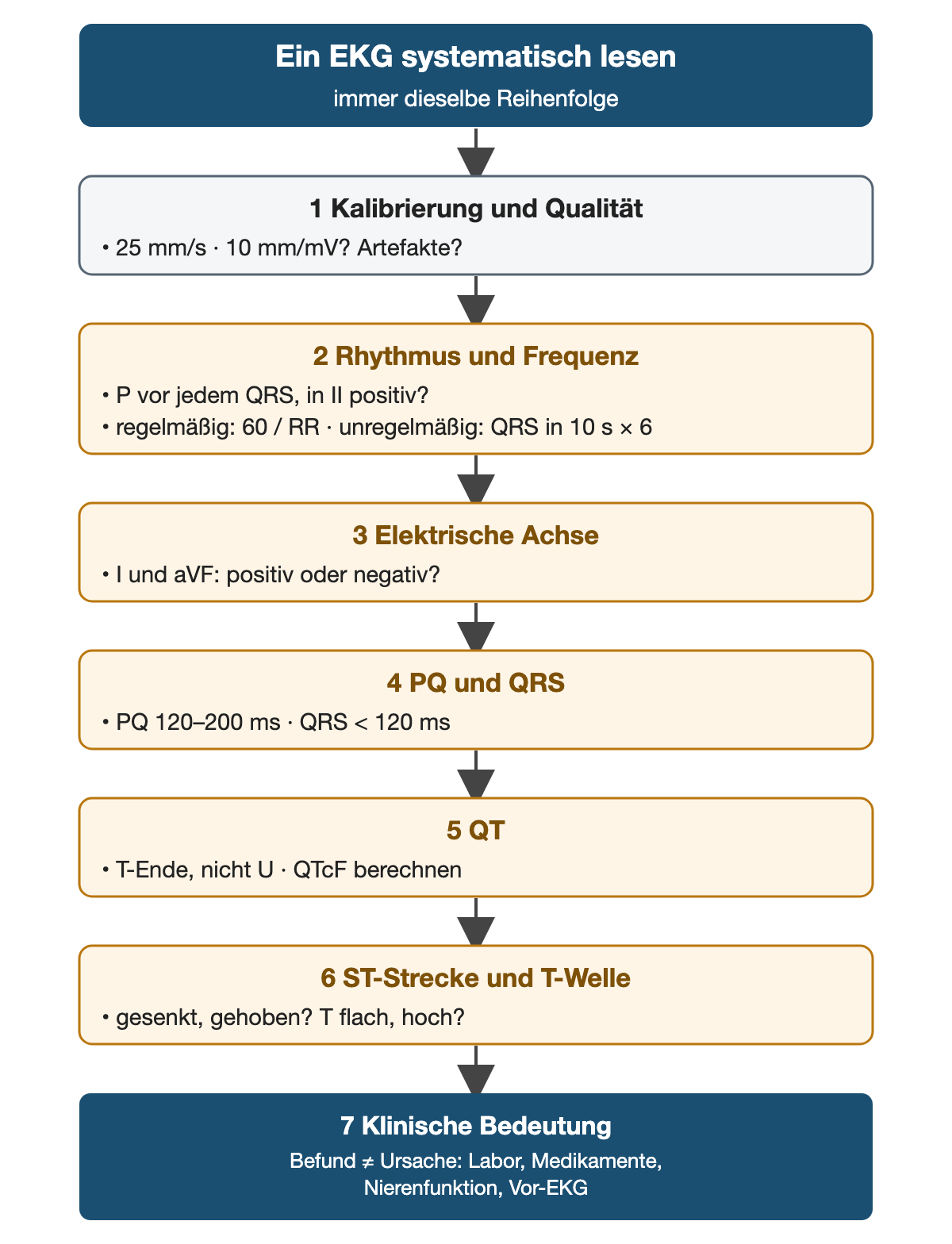 Sieben Schritte untereinander: 1 Kalibrierung und Qualität, 25 mm/s und 10 mm/mV, Artefakte. 2 Rhythmus und Frequenz: P vor jedem QRS, in II positiv; regelmäßig 60 durch RR, unregelmäßig QRS in 10 Sekunden mal 6. 3 Elektrische Achse: I und aVF positiv oder negativ. 4 PQ 120 bis 200 ms, QRS kleiner als 120 ms. 5 QT: T-Ende, nicht U, QTcF berechnen. 6 ST-Strecke und T-Welle: gesenkt oder gehoben, T flach oder hoch. 7 Klinische Bedeutung: Befund ist nicht gleich Ursache; Labor, Medikamente, Nierenfunktion und Vor-EKG prüfen.