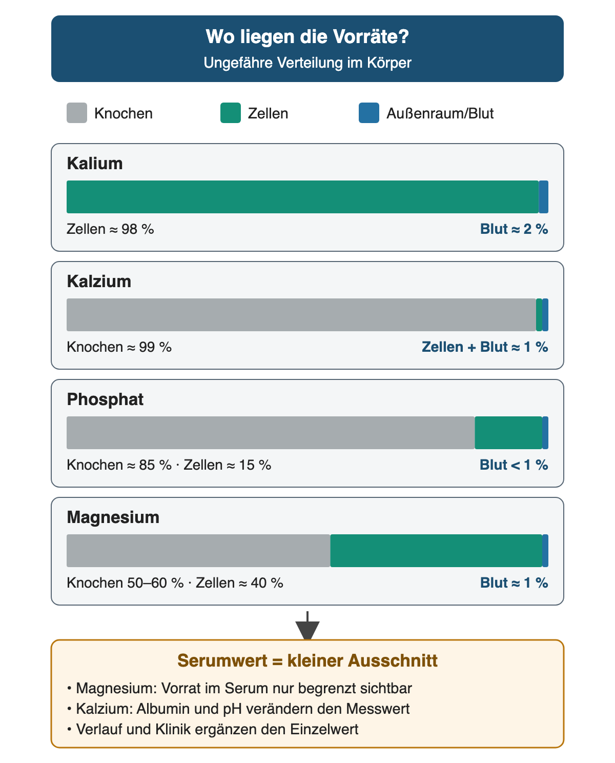 Vier Balken zeigen die ungefähre Verteilung im Körper: Kalium etwa 98 Prozent in Zellen und 2 Prozent im Außenraum; Kalzium etwa 99 Prozent im Knochen; Phosphat etwa 85 Prozent im Knochen, 15 Prozent in Zellen und weniger als 1 Prozent im Blut; Magnesium 50 bis 60 Prozent im Knochen, etwa 40 Prozent in Zellen und etwa 1 Prozent im Blut. Darunter: Der Serumwert ist nur ein kleiner Ausschnitt.