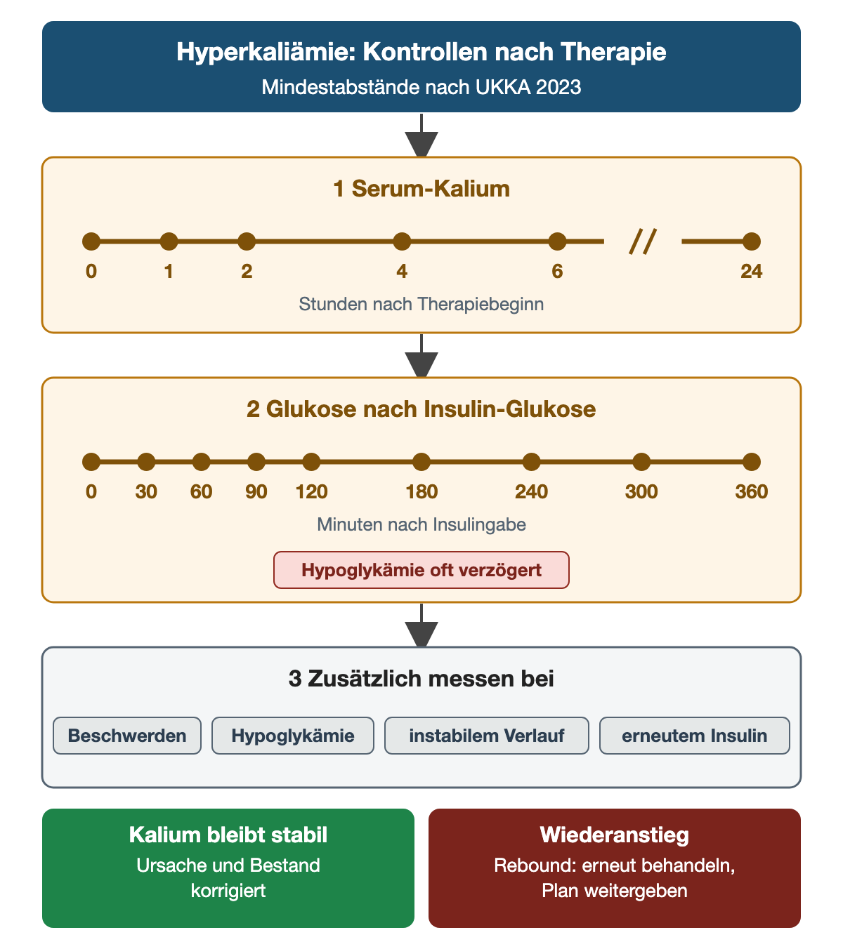 Kopfzeile: Hyperkaliämie, Kontrollen nach Therapie, Mindestabstände nach UKKA 2023. Schritt 1, Serum-Kalium: Zeitachse mit Kontrollen zu Beginn und nach 1, 2, 4, 6 und 24 Stunden, die Achse ist nach 6 Stunden unterbrochen. Schritt 2, Glukose nach Insulin-Glukose: Kontrollen zu Beginn sowie nach 30, 60, 90, 120, 180, 240, 300 und 360 Minuten; Hinweis, dass eine Hypoglykämie oft verzögert auftritt. Schritt 3: zusätzlich messen bei Beschwerden, Hypoglykämie, instabilem Verlauf oder erneutem Insulin. Unten zwei Ausgänge: Kalium bleibt stabil, wenn Ursache und Bestand korrigiert sind; bei Wiederanstieg Rebound erneut behandeln und den Plan weitergeben.