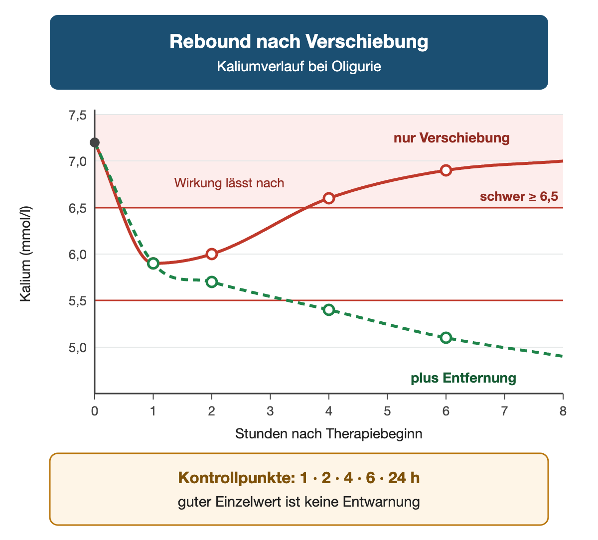 Liniendiagramm des Kaliums über acht Stunden bei Oligurie, beide Verläufe beginnen bei 7,2 mmol/l und fallen nach einer Stunde auf etwa 5,9 mmol/l. Bei alleiniger Verschiebung lässt die Wirkung nach; Kalium steigt nach vier Stunden wieder über 6,5 mmol/l in den schweren Bereich. Mit zusätzlicher Entfernung sinkt Kalium weiter unter 5,5 mmol/l. Kontrollpunkte nach 1, 2, 4, 6 und 24 Stunden; ein guter Einzelwert ist keine Entwarnung.