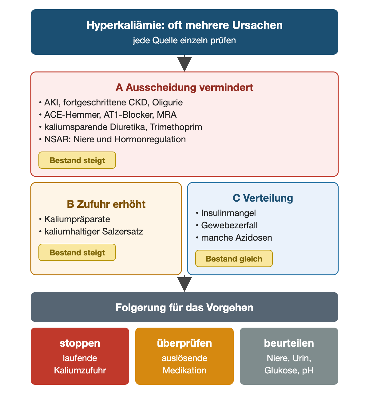 Drei Ursachengruppen der Hyperkaliämie. Verminderte Ausscheidung durch AKI, fortgeschrittene CKD oder Oligurie, ACE-Hemmer, AT1-Blocker, Mineralokortikoidrezeptor-Antagonisten, kaliumsparende Diuretika, Trimethoprim und NSAR erhöht den Bestand. Erhöhte Zufuhr durch Kaliumpräparate oder kaliumhaltigen Salzersatz erhöht den Bestand. Verteilungsstörungen durch Insulinmangel, Gewebezerfall oder manche Azidosen lassen den Bestand gleich. Daraus folgen: laufende Kaliumzufuhr stoppen, auslösende Medikation überprüfen, Niere, Urin, Glukose und pH beurteilen.