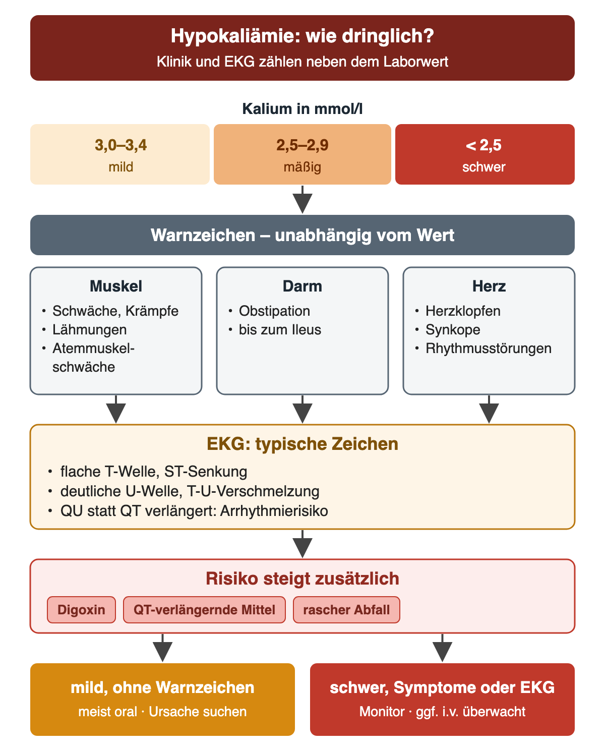 Der Kaliumwert wird in mild, mäßig und schwer eingeteilt. Unabhängig vom Wert zeigen Muskel-, Darm- und Herzsymptome sowie EKG-Zeichen Dringlichkeit an; Digoxin, QT-verlängernde Mittel und ein rascher Abfall erhöhen das Risiko zusätzlich.
