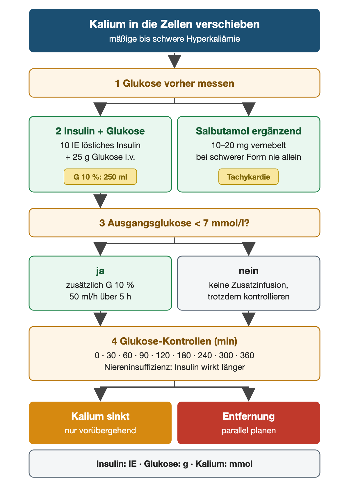Kalium in die Zellen verschieben bei mäßiger bis schwerer Hyperkaliämie. Erstens Glukose vorher messen. Zweitens 10 Einheiten lösliches Insulin mit 25 Gramm Glukose intravenös, zum Beispiel 250 ml Glukose 10 Prozent; ergänzend Salbutamol 10 bis 20 mg vernebelt, bei schwerer Form nie allein, Tachykardie beachten. Drittens bei Ausgangsglukose unter 7 mmol/l zusätzlich Glukose 10 Prozent mit 50 ml pro Stunde über 5 Stunden, sonst keine Zusatzinfusion, aber trotzdem kontrollieren. Viertens Glukose nach 0, 30, 60, 90, 120, 180, 240, 300 und 360 Minuten kontrollieren; bei Niereninsuffizienz wirkt Insulin länger. Kalium sinkt nur vorübergehend, die Entfernung wird parallel geplant. Insulin in Einheiten, Glukose in Gramm, Kalium in mmol.
