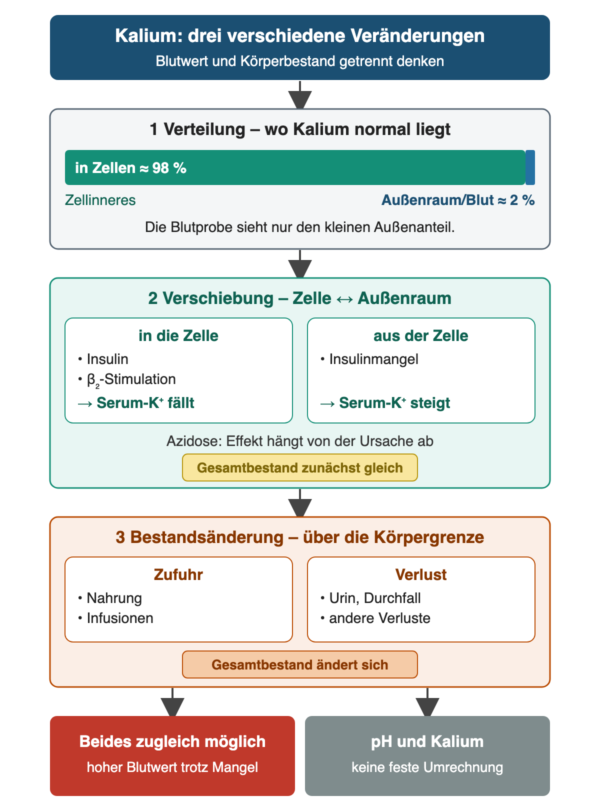 Drei nummerierte Kästen: 1 Verteilung mit etwa 98 Prozent Kalium in Zellen und 2 Prozent im Außenraum; 2 Verschiebung mit Insulin und Beta-2-Stimulation in die Zelle, Insulinmangel aus der Zelle, Azidose ursachenabhängig, Gesamtbestand zunächst gleich; 3 Bestandsänderung durch Zufuhr über Nahrung und Infusionen oder Verlust über Urin, Durchfall und andere Wege, Gesamtbestand ändert sich. Ergebniszeile: hoher Blutwert trotz Mangel möglich; keine feste Umrechnung zwischen pH und Kalium.