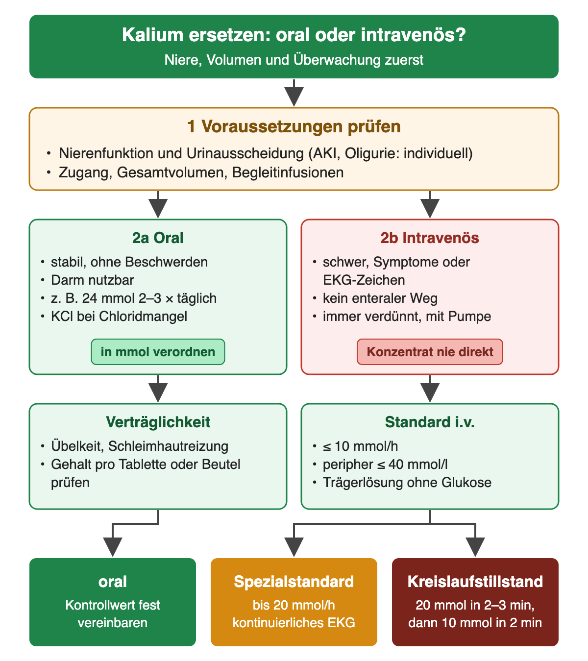 Nach Prüfung von Nierenfunktion, Zugang und Volumen verzweigt der Ersatz in orale Gabe bei stabiler Situation und verdünnte Infusion mit Pumpe. Standard i.v. bis 10 mmol/h und peripher bis 40 mmol/l; bis 20 mmol/h nur im Spezialstandard mit kontinuierlichem EKG; im Kreislaufstillstand 20 mmol in 2–3 Minuten, dann 10 mmol in 2 Minuten.