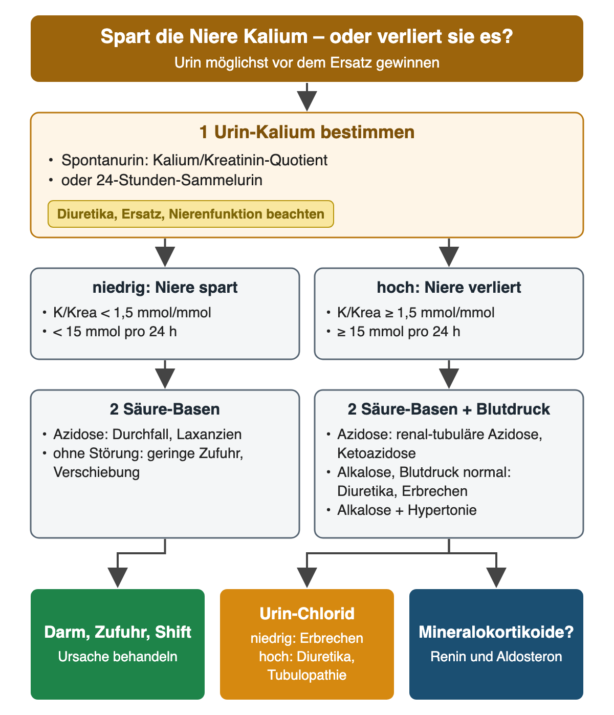 Ein niedriger Kalium/Kreatinin-Quotient unter 1,5 mmol/mmol oder weniger als 15 mmol pro 24 Stunden spricht für Kaliumeinsparung der Niere, höhere Werte für renalen Verlust. Säure-Basen-Status, Blutdruck, Urin-Chlorid sowie Renin und Aldosteron grenzen die Ursache weiter ein.