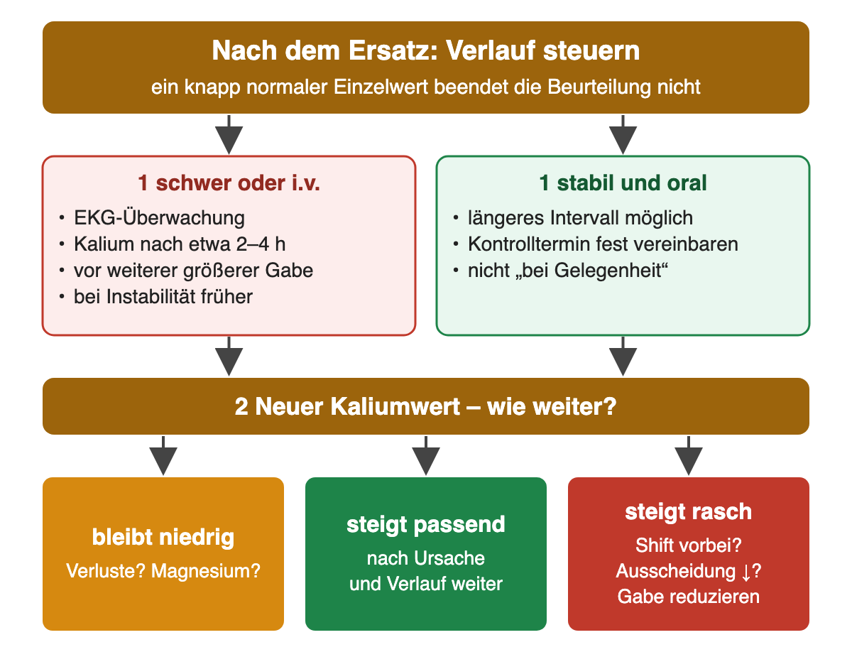 Bei schwerer Störung oder intravenöser Gabe folgen EKG-Überwachung und Kaliumkontrolle nach etwa 2–4 Stunden, bei stabiler oraler Therapie ein fest vereinbarter Termin. Bleibt Kalium niedrig, werden Verluste und Magnesium geprüft; steigt es rasch, wird die weitere Gabe reduziert.