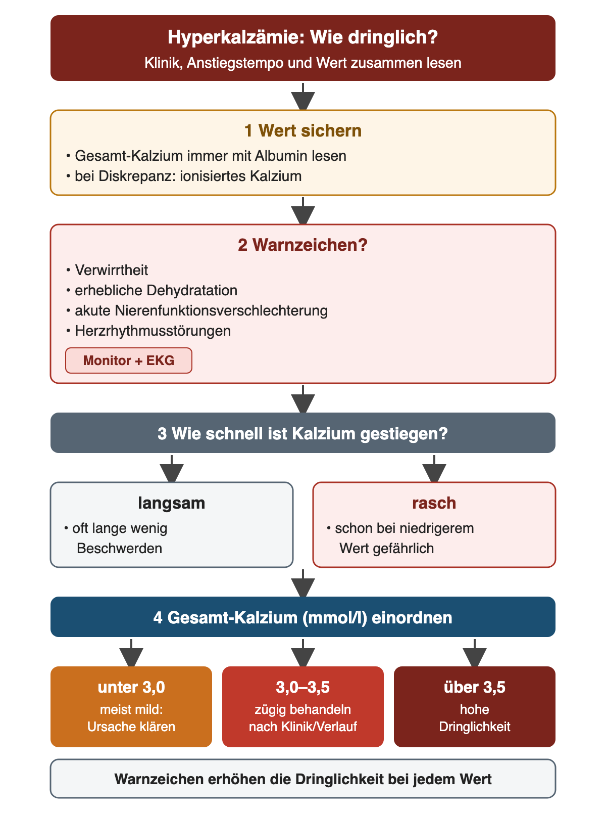 Entscheidungsweg zur Dringlichkeit: 1 Wert sichern, Gesamt-Kalzium immer mit Albumin lesen, bei Diskrepanz ionisiertes Kalzium. 2 Warnzeichen prüfen: Verwirrtheit, erhebliche Dehydratation, akute Nierenfunktionsverschlechterung, Herzrhythmusstörungen; dann Monitor und EKG. 3 Anstiegstempo: langsam oft lange wenig Beschwerden, rasch schon bei niedrigerem Wert gefährlich. 4 Gesamt-Kalzium in mmol/l einordnen: unter 3,0 meist mild, Ursache klären; 3,0 bis 3,5 zügig behandeln nach Klinik und Verlauf; über 3,5 hohe Dringlichkeit. Warnzeichen erhöhen die Dringlichkeit bei jedem Wert.