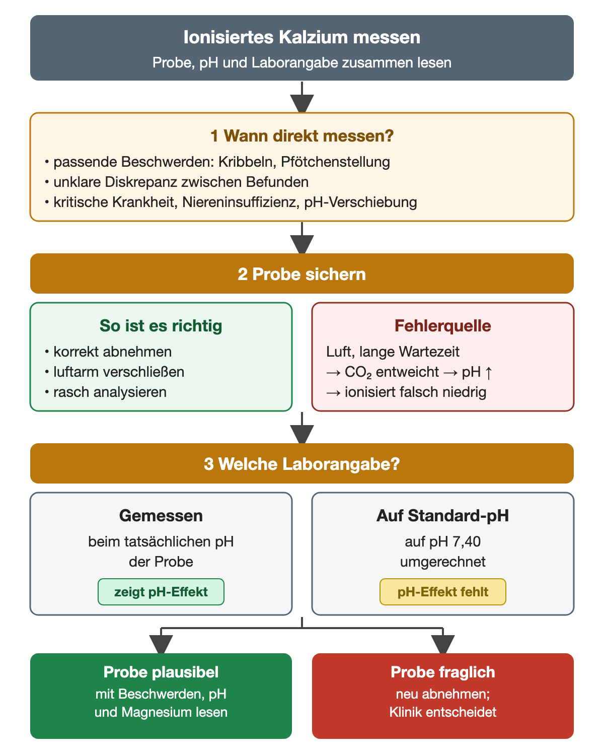 Von Symptomen oder widersprüchlichen Befunden führt der Weg zur direkten Messung des ionisierten Kalziums; auch bei kritischer Krankheit, Niereninsuffizienz und pH-Verschiebung. Die Probe wird korrekt abgenommen, luftarm verschlossen und rasch analysiert. Luft oder lange Wartezeit lassen CO₂ entweichen, der pH steigt und das ionisierte Kalzium wird falsch niedrig. Danach wird unterschieden, ob der Wert beim tatsächlichen pH gemessen wurde und damit den pH-Effekt zeigt oder auf pH 7,40 umgerechnet wurde und der pH-Effekt fehlt. Ist die Probe plausibel, wird sie mit Beschwerden, pH und Magnesium gelesen; ist sie fraglich, wird neu abgenommen und die Klinik entscheidet.