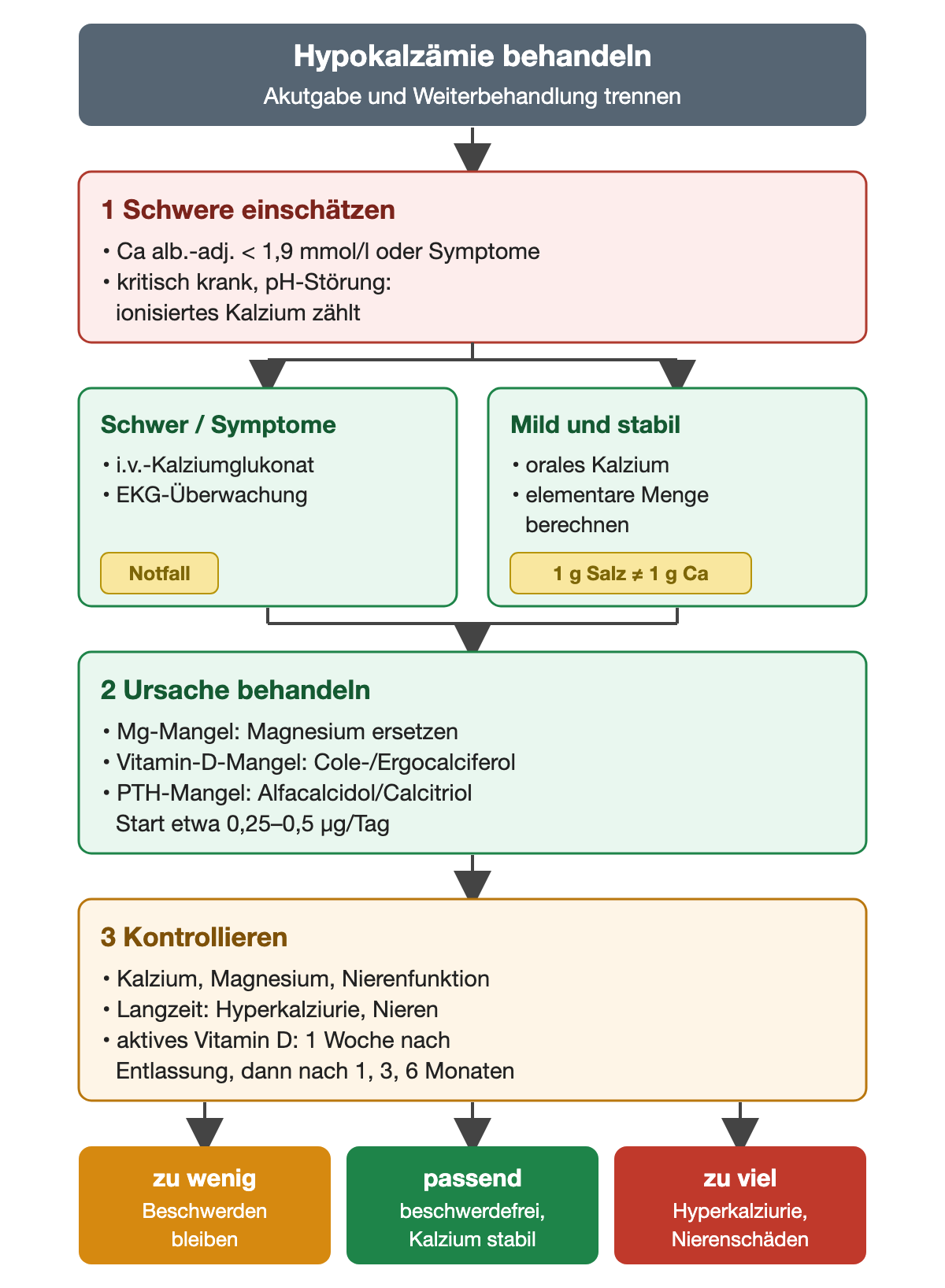 Nach der Einschätzung der Schwere – albuminadjustiertes Kalzium unter 1,9 mmol/l oder Symptome, bei kritischer Erkrankung oder pH-Störung zählt das ionisierte Kalzium – stehen zwei Wege nebeneinander: schwer oder symptomatisch mit intravenösem Kalziumglukonat und EKG-Überwachung, mild und stabil mit oralem Kalzium und berechneter elementarer Menge. Beide münden in die Ursachenbehandlung mit Magnesiumersatz, Cole- oder Ergocalciferol bei Vitamin-D-Mangel sowie Alfacalcidol oder Calcitriol ab etwa 0,25–0,5 µg pro Tag bei PTH-Mangel, danach in Kontrollen von Kalzium, Magnesium, Nierenfunktion, Hyperkalziurie und Nieren. Die Ergebniszeile stellt zu wenig, passend und zu viel Korrektur gegenüber.