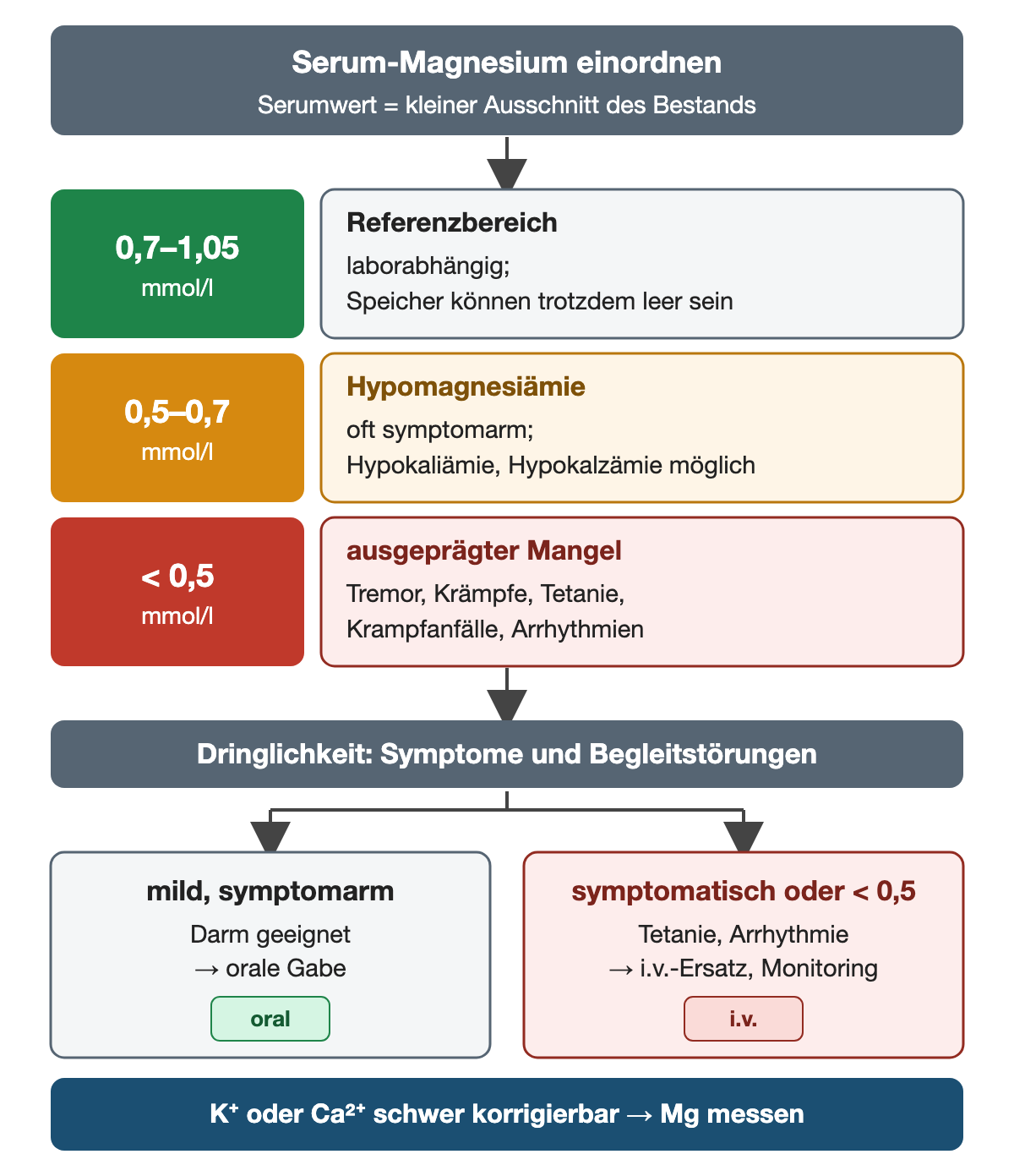 Drei Stufen des Serum-Magnesiums: 0,7 bis 1,05 mmol/l ist der laborabhängige Referenzbereich, die Speicher können trotzdem leer sein. 0,5 bis 0,7 mmol/l bedeutet Hypomagnesiämie, oft symptomarm, Hypokaliämie und Hypokalzämie sind möglich. Unter 0,5 mmol/l liegt ein ausgeprägter Mangel mit Tremor, Krämpfen, Tetanie, Krampfanfällen und Arrhythmien vor. Die Dringlichkeit richtet sich nach Symptomen und Begleitstörungen: mild und symptomarm bei geeignetem Darm führt zur oralen Gabe, symptomatischer oder ausgeprägter Mangel zu intravenösem Ersatz mit Monitoring. Ist Kalium oder Kalzium schwer korrigierbar, wird Magnesium gemessen.