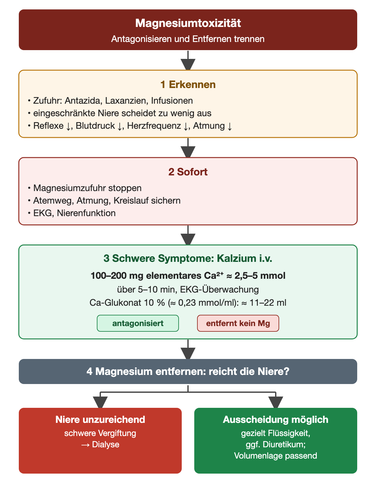 Erstens erkennen: magnesiumhaltige Antazida, Laxanzien oder Infusionen, eine eingeschränkte Niere, die zu wenig ausscheidet, sowie abgeschwächte Reflexe, niedriger Blutdruck, niedrige Herzfrequenz und verminderte Atmung. Zweitens sofort: Magnesiumzufuhr stoppen, Atemweg, Atmung und Kreislauf sichern, EKG und Nierenfunktion beurteilen. Drittens bei schweren Symptomen Kalzium intravenös: 100–200 mg elementares Kalzium, etwa 2,5–5 mmol, über 5–10 Minuten unter EKG-Überwachung; bei Kalziumglukonat 10 % mit etwa 0,23 mmol/ml ungefähr 11–22 ml. Kalzium antagonisiert, entfernt aber kein Magnesium. Viertens Entfernung: Reicht die Niere nicht und ist die Vergiftung schwer, folgt die Dialyse; ist Ausscheidung möglich und die Volumenlage passend, gezielte Flüssigkeit und gegebenenfalls ein Diuretikum.