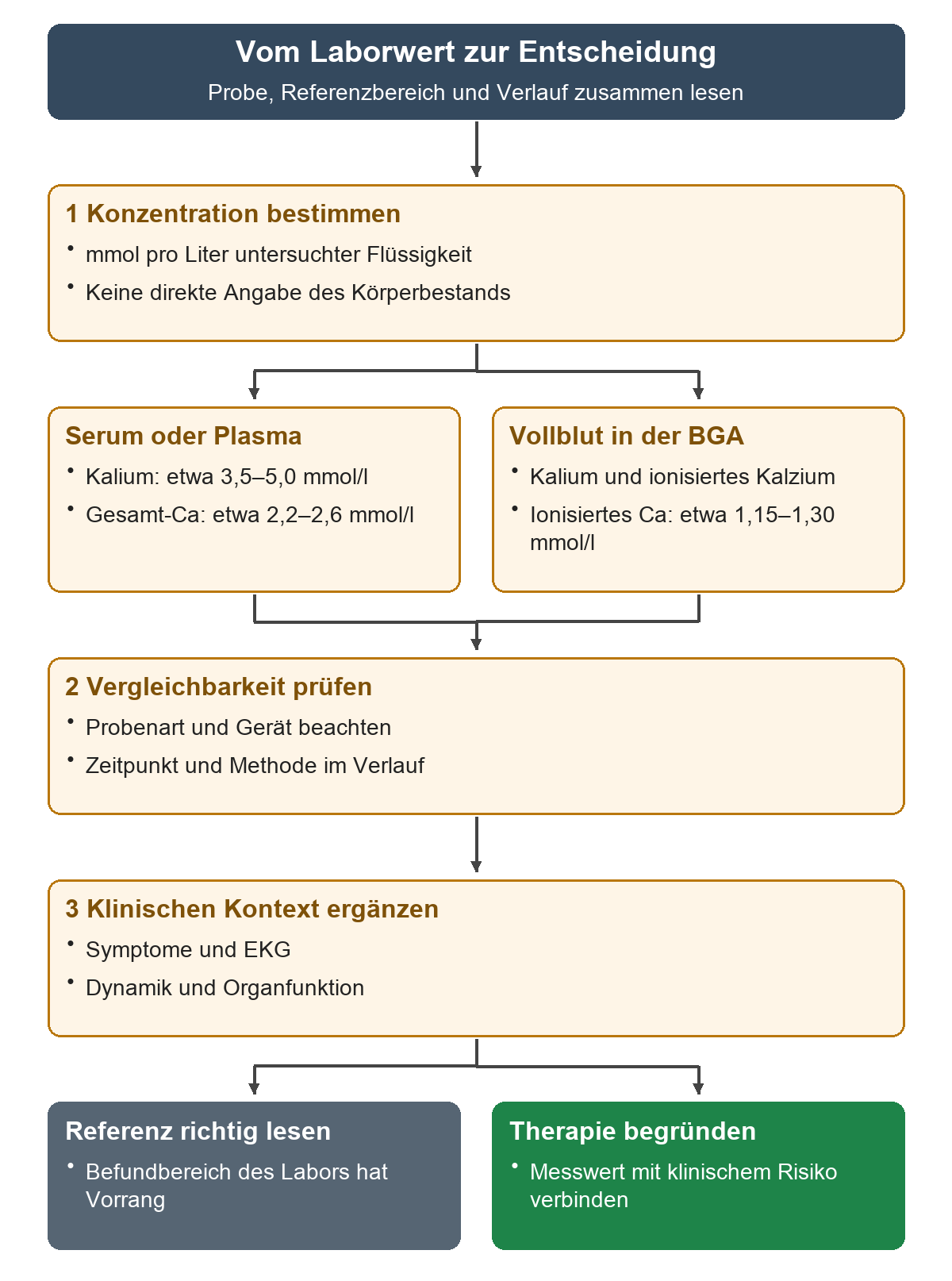 Von der Konzentrationsmessung führen Serum oder Plasma und BGA zu Referenzbereich, Vergleichbarkeit und klinischer Therapieentscheidung.