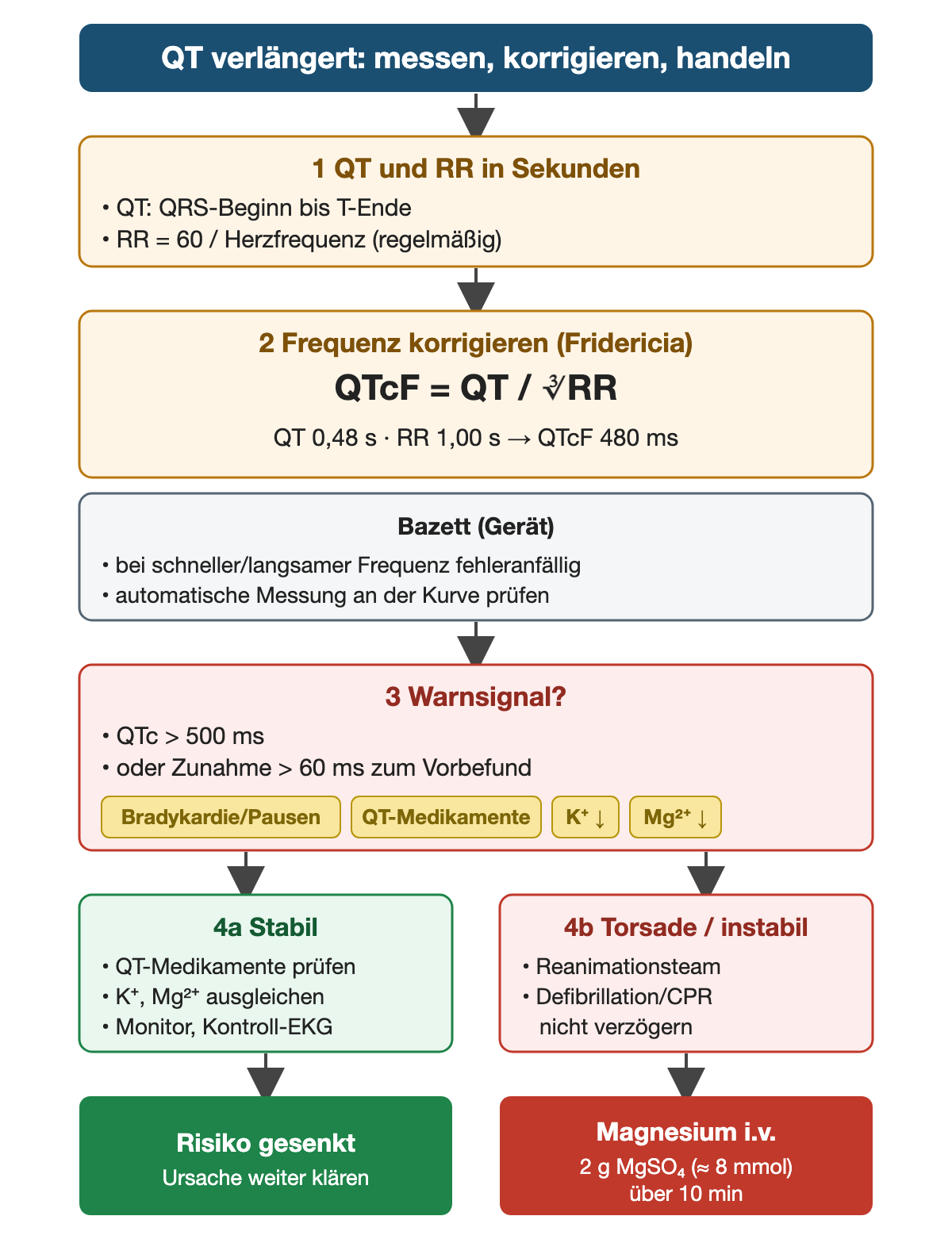 Ablauf: 1 QT vom QRS-Beginn bis zum T-Ende und RR gleich 60 durch Herzfrequenz, beides in Sekunden. 2 Frequenzkorrektur nach Fridericia: QTcF gleich QT durch dritte Wurzel aus RR; Beispiel QT 0,48 s und RR 1,00 s ergibt 480 ms. Grauer Hinweis: Bazett aus dem Gerät ist bei schneller oder langsamer Frequenz fehleranfällig, automatische Messung an der Kurve prüfen. 3 Warnsignal: QTc über 500 ms oder Zunahme um mehr als 60 ms zum Vorbefund; Begleitfaktoren Bradykardie oder Pausen, QT-Medikamente, niedriges Kalium, niedriges Magnesium. 4a stabil: QT-Medikamente prüfen, Kalium und Magnesium ausgleichen, Monitor und Kontroll-EKG, danach Ursache weiter klären. 4b Torsade oder instabil: Reanimationsteam, Defibrillation oder Reanimation nicht verzögern, Magnesium 2 g Magnesiumsulfat, etwa 8 mmol, intravenös über 10 Minuten.